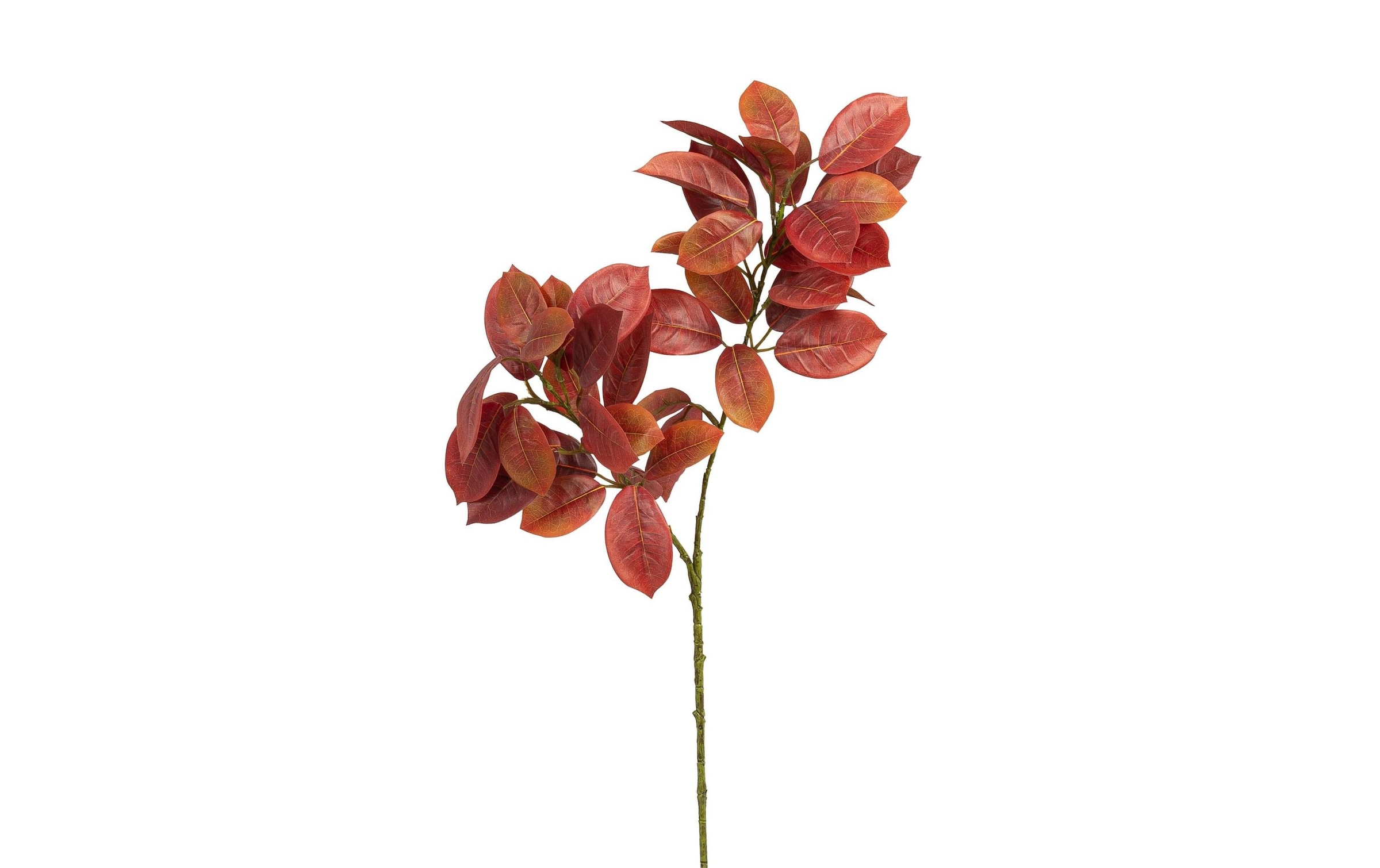 75 Botanic-Haus bestellen Set cm« Jelmoli-Versand Kunstblume »3-er online |