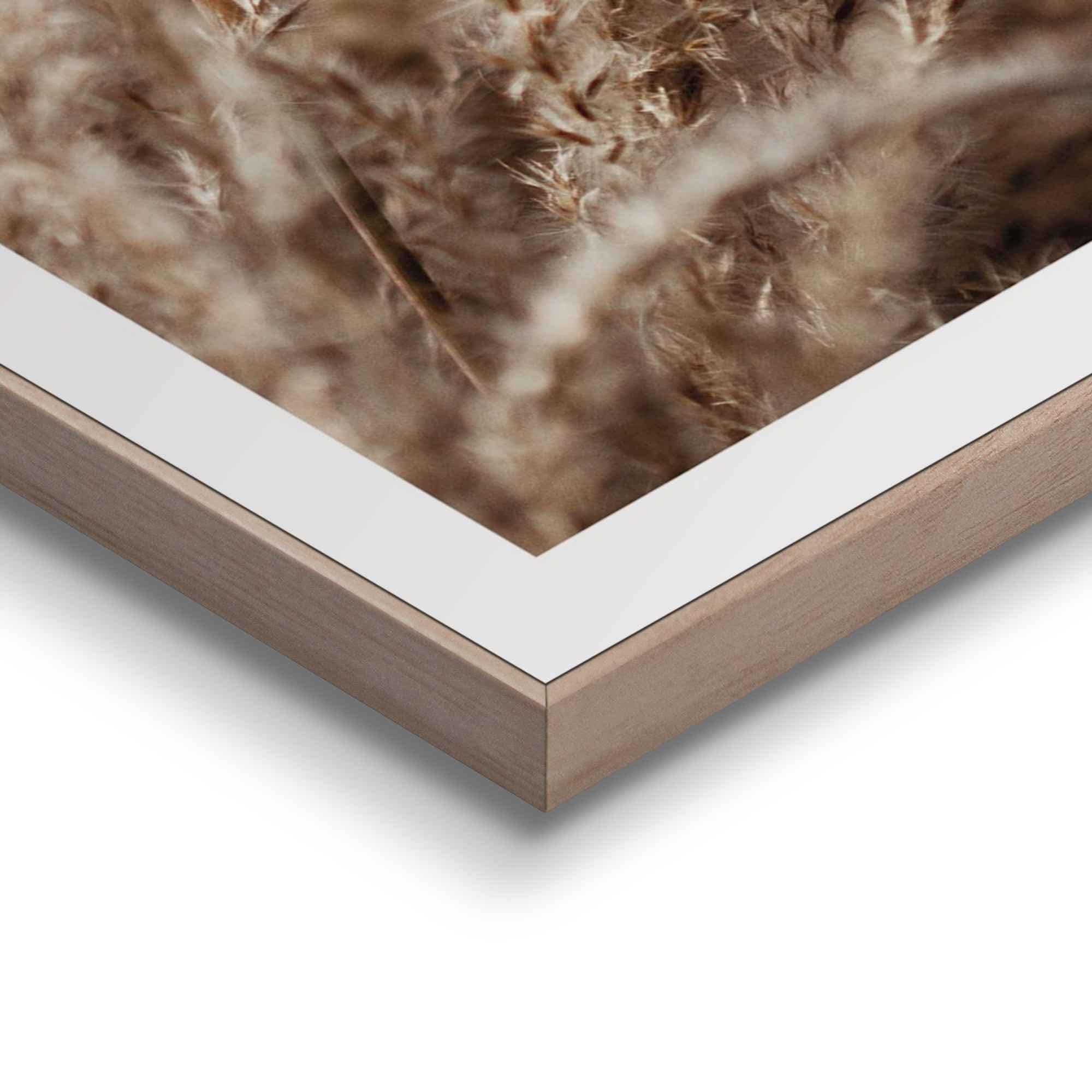 Reinders! Wandbild »Schönen Tag Happy day - Kraniche - Strand - Trockenblume«, (5 St.)