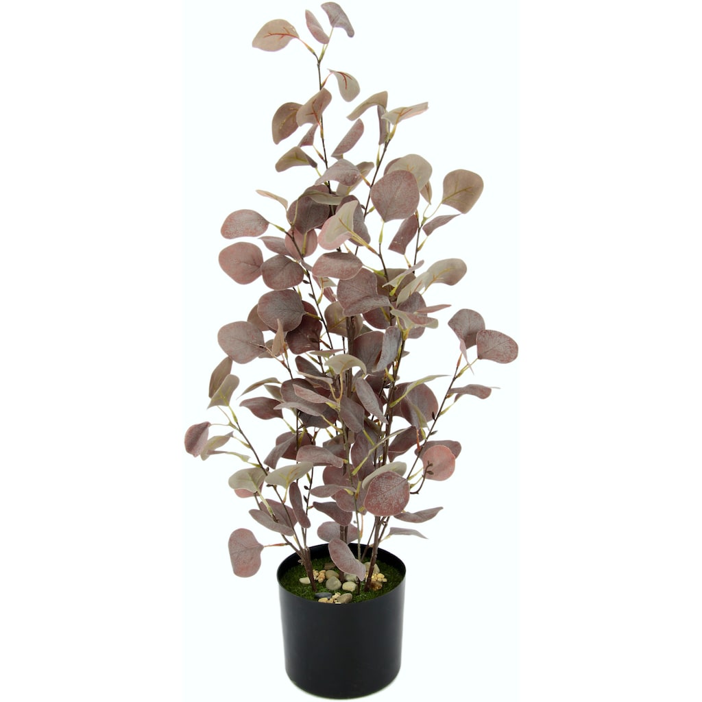 I.GE.A. Kunstpflanze »Eukalyptuspflanze«