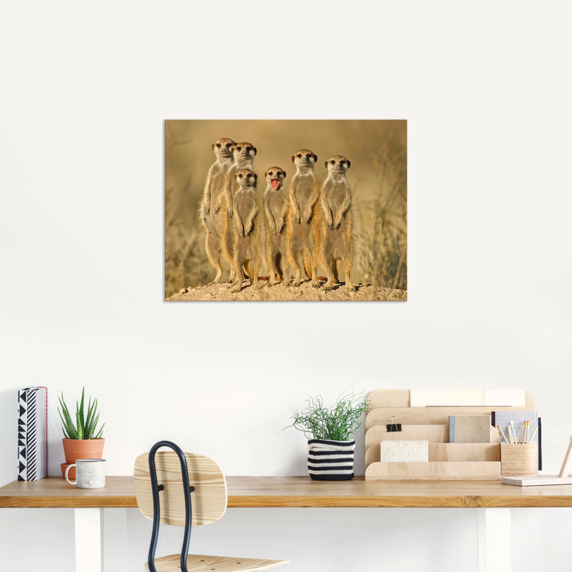 Artland Wandbild »Erdmännchen shoppen Poster Wildtiere, oder | Alubild, online als St.), in Jelmoli-Versand (1 Grössen Familie«, versch. Wandaufkleber Leinwandbild