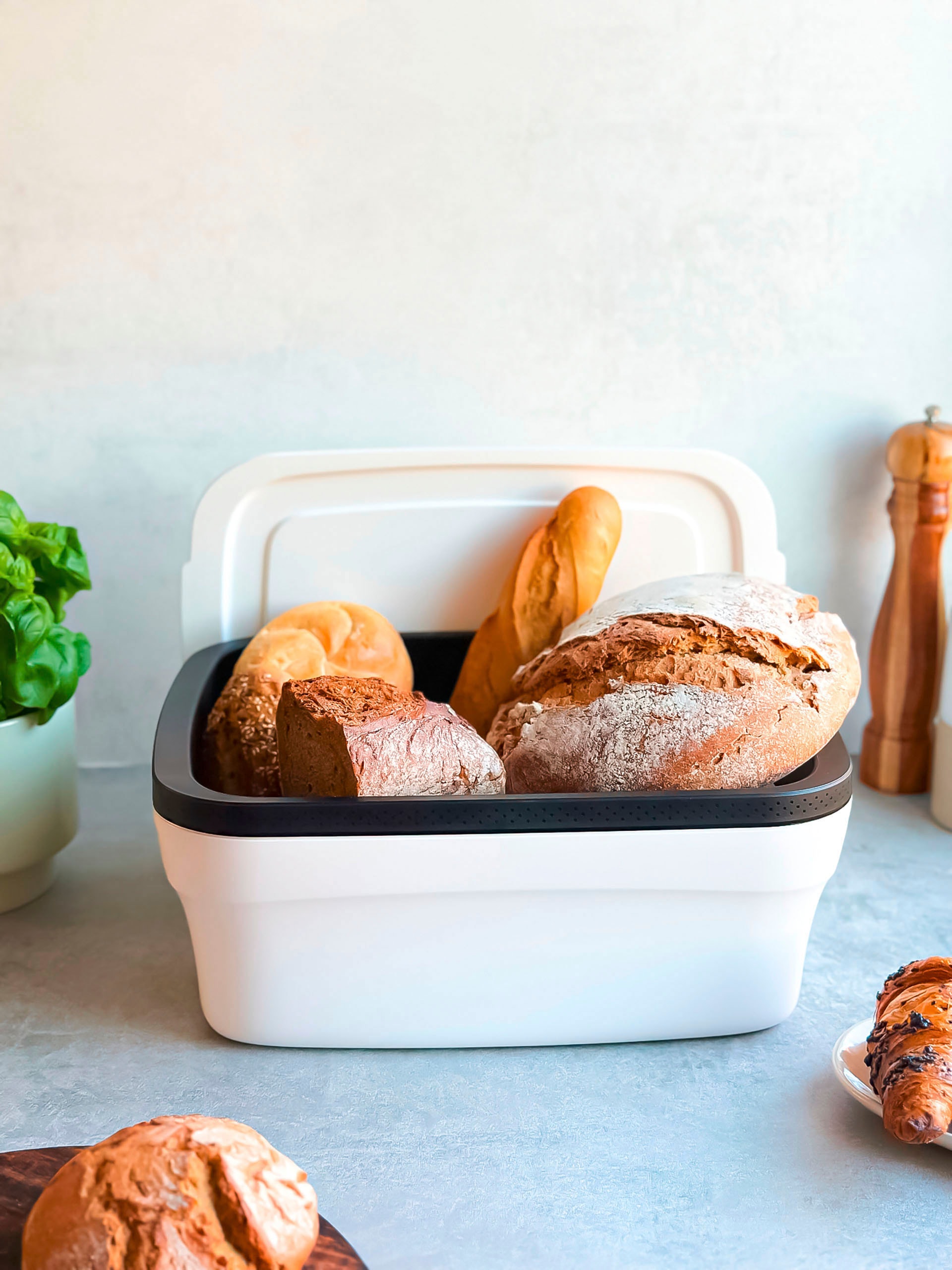 TUPPERWARE Brotkasten »BreadSmart Large«, (1 tlg.)