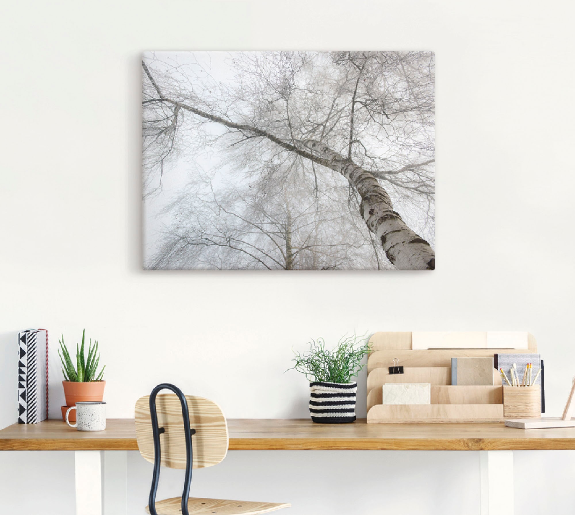 Leinwandbild, Grössen Jelmoli-Versand online in Wandbild | Bäume, oder St.), Poster Artland als Wandaufkleber versch. (1 »Winter Birke«, kaufen