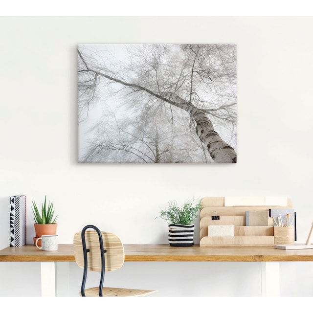 Artland Wandbild »Winter Birke«, Bäume, (1 St.), als Leinwandbild,  Wandaufkleber oder Poster in versch. Grössen online kaufen | Jelmoli-Versand