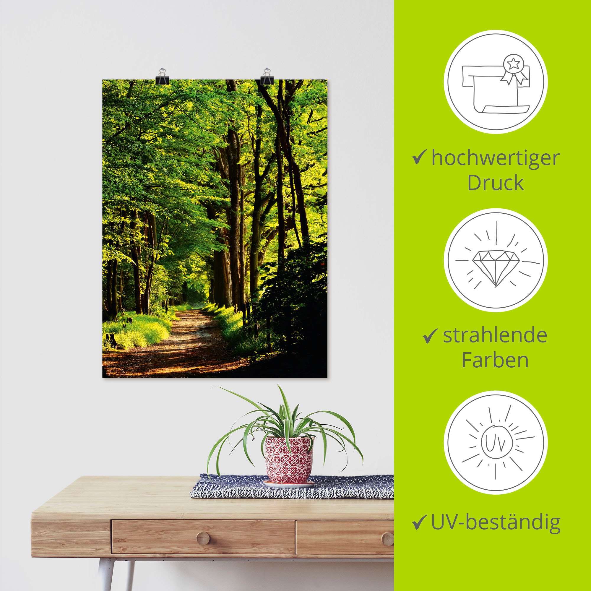 Artland Wandbild »Weg im Wald«, Wald, (1 St.), als Alubild, Outdoorbild, Leinwandbild, Poster in verschied. Grössen
