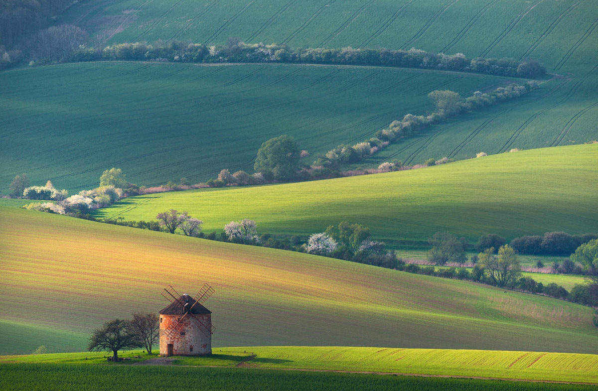 Papermoon Fototapete »Felder mit Windmühle«