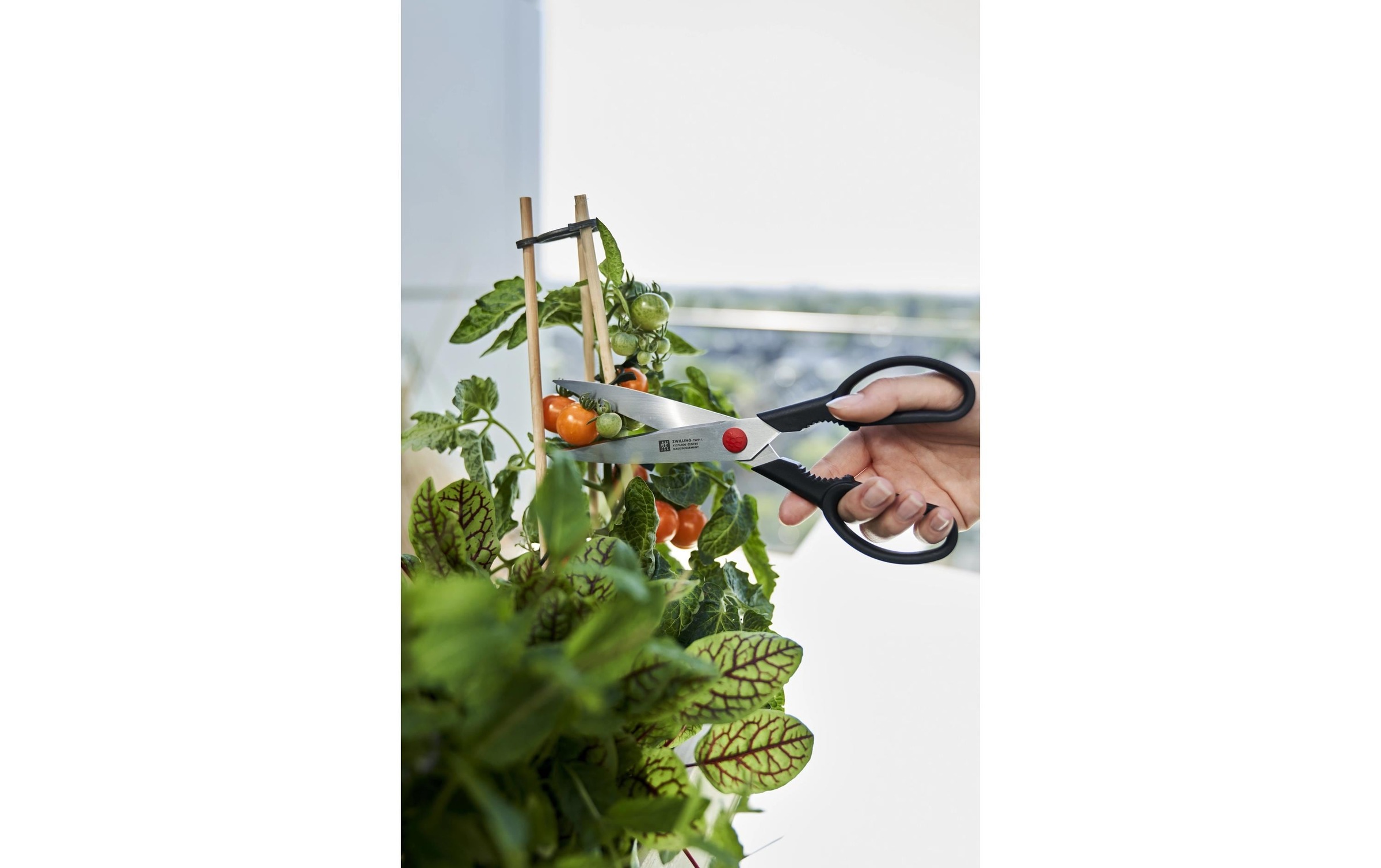Zwilling Haushaltsschere »Twin L 23 cm«