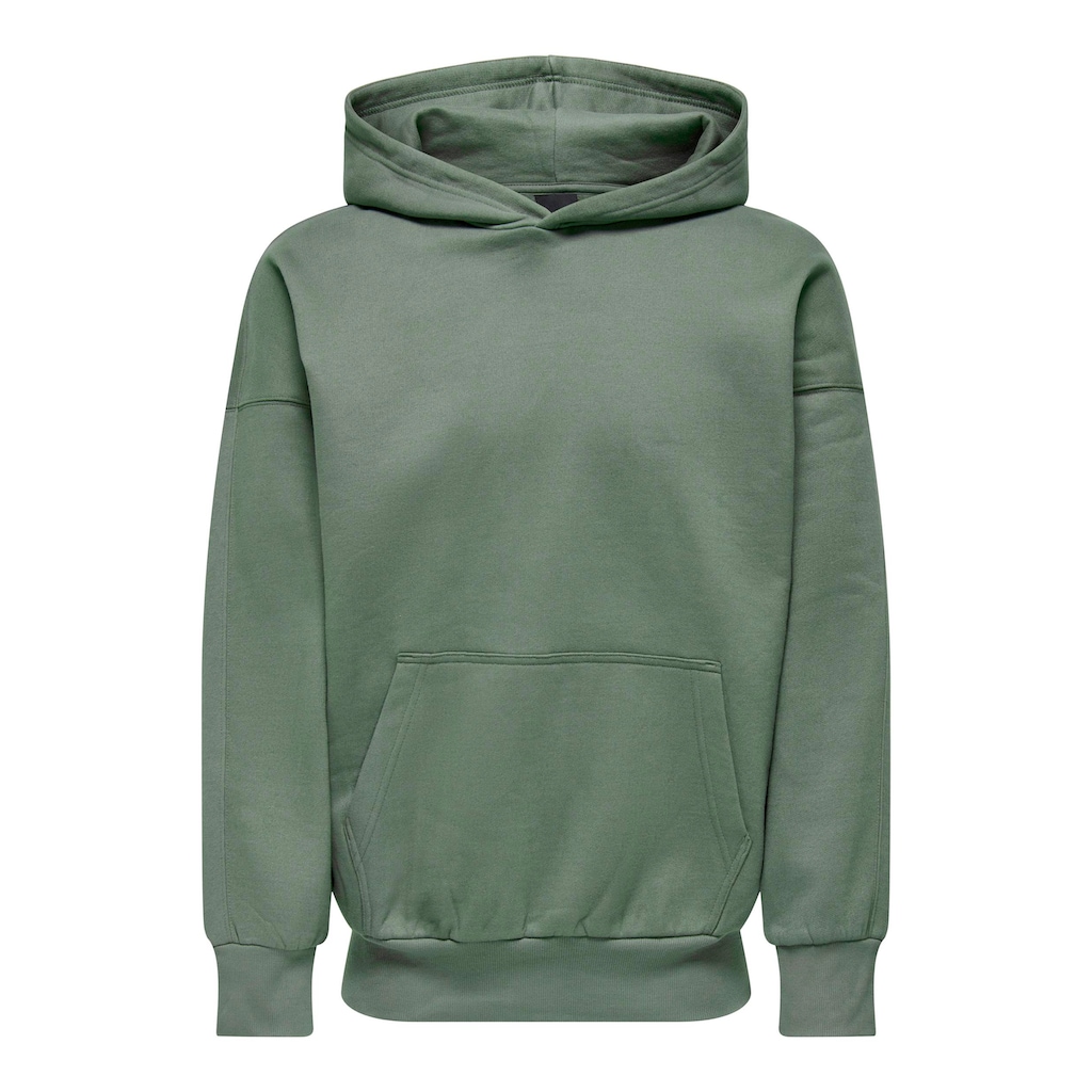 ONLY & SONS Kapuzensweatshirt »ONSDAN LIFE RLX HEAVY SWEAT HOODIE NOOS«