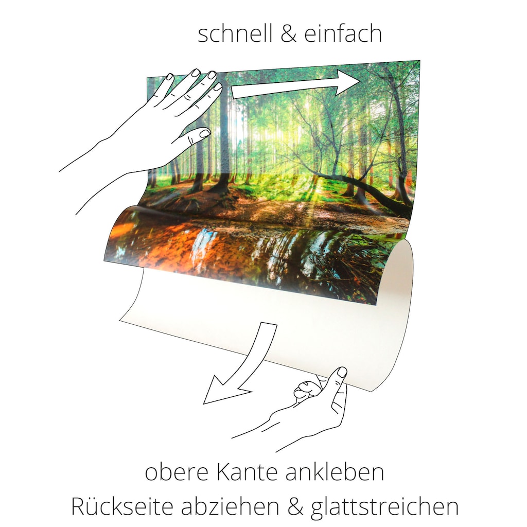 Artland Wandbild »Fensterblick - Wald mit Bach«, Wald, (1 St.)