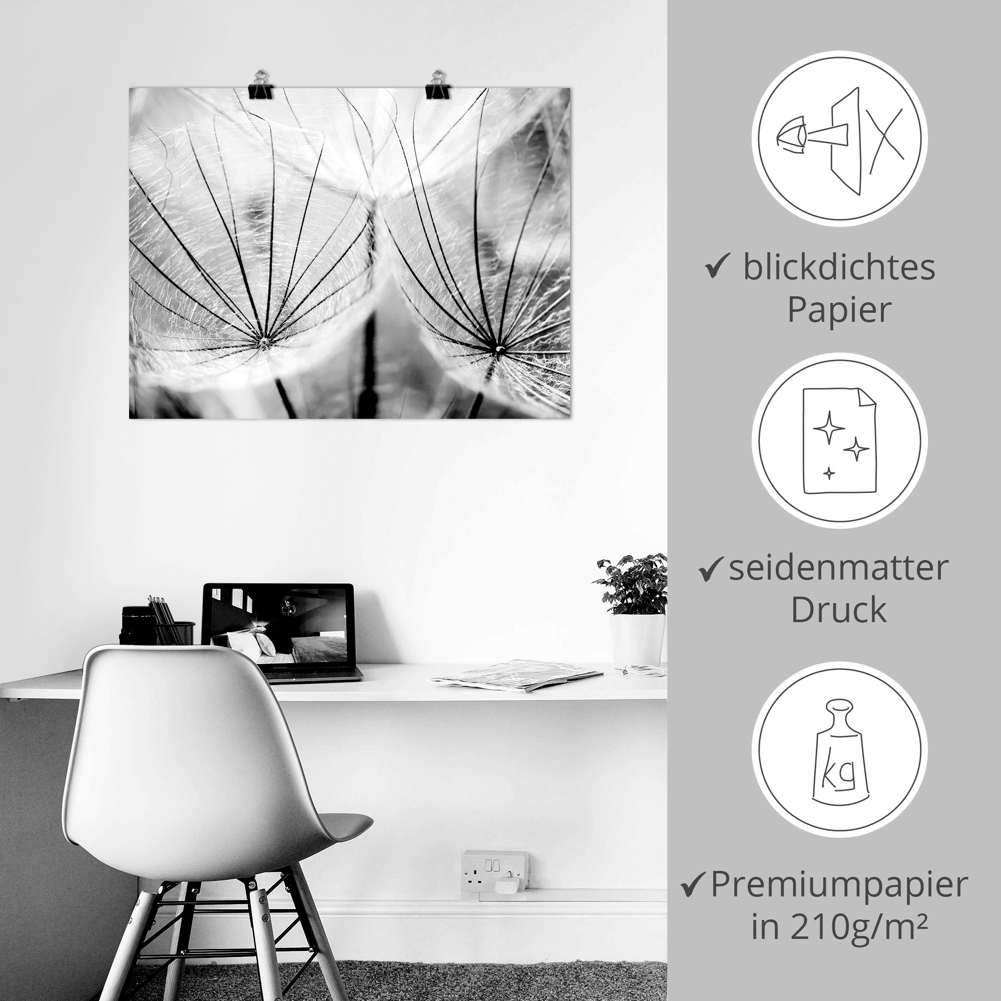 Artland Wandbild »Pusteblume in schwarzweiss«, Blumen, (1 St.), als Alubild, Outdoorbild, Leinwandbild, Poster, Wandaufkleber