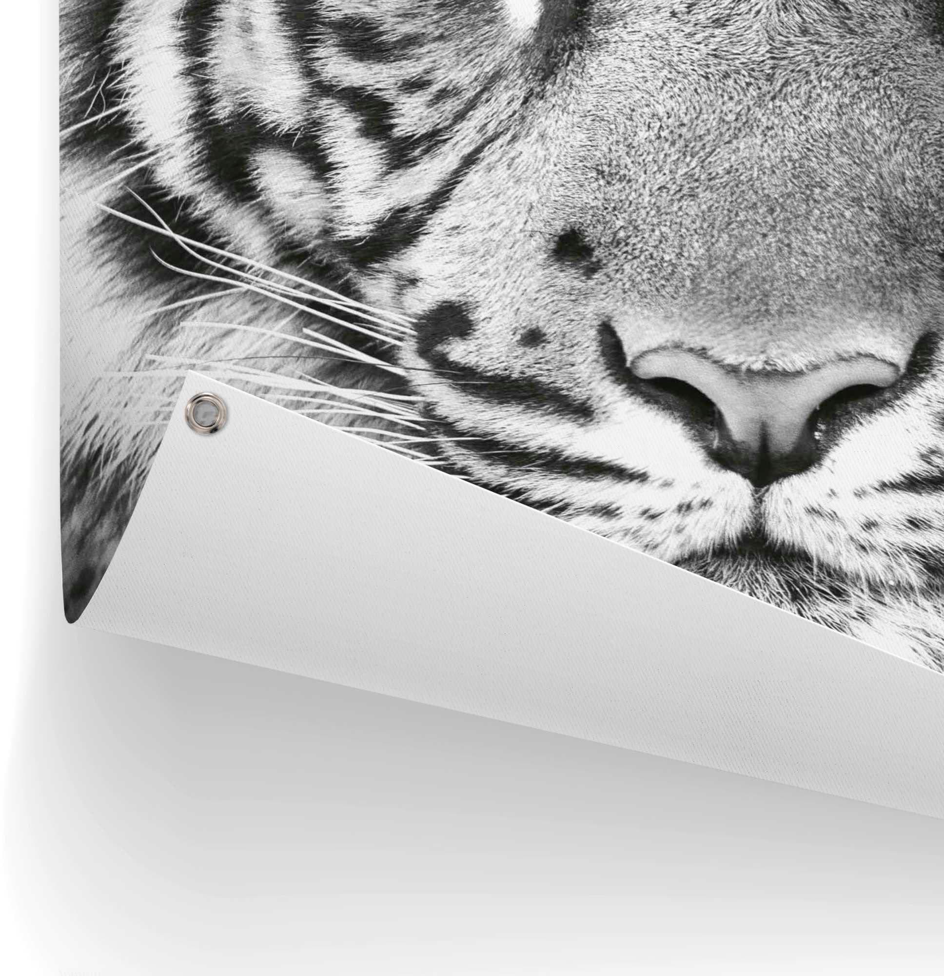 Jelmoli-Versand bestellen online | »Tigerblick« Reinders! Poster