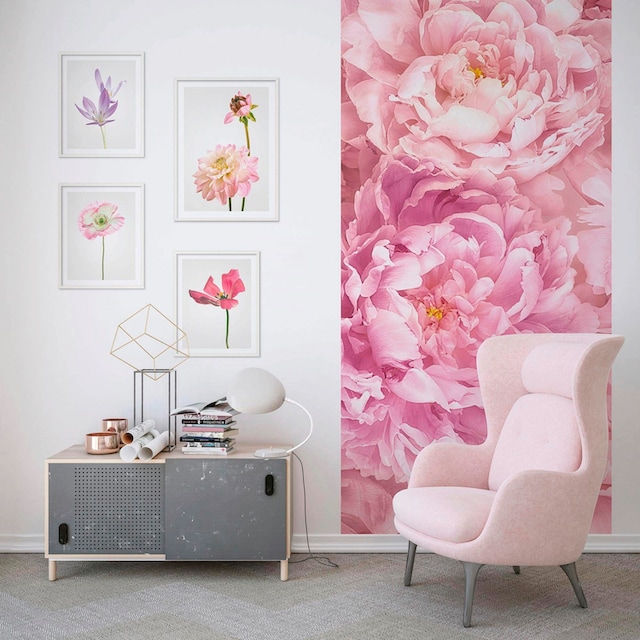❤ Komar Poster »Poppy«, Blumen, Kinderzimmer, Schlafzimmer, Wohnzimmer  ordern im Jelmoli-Online Shop
