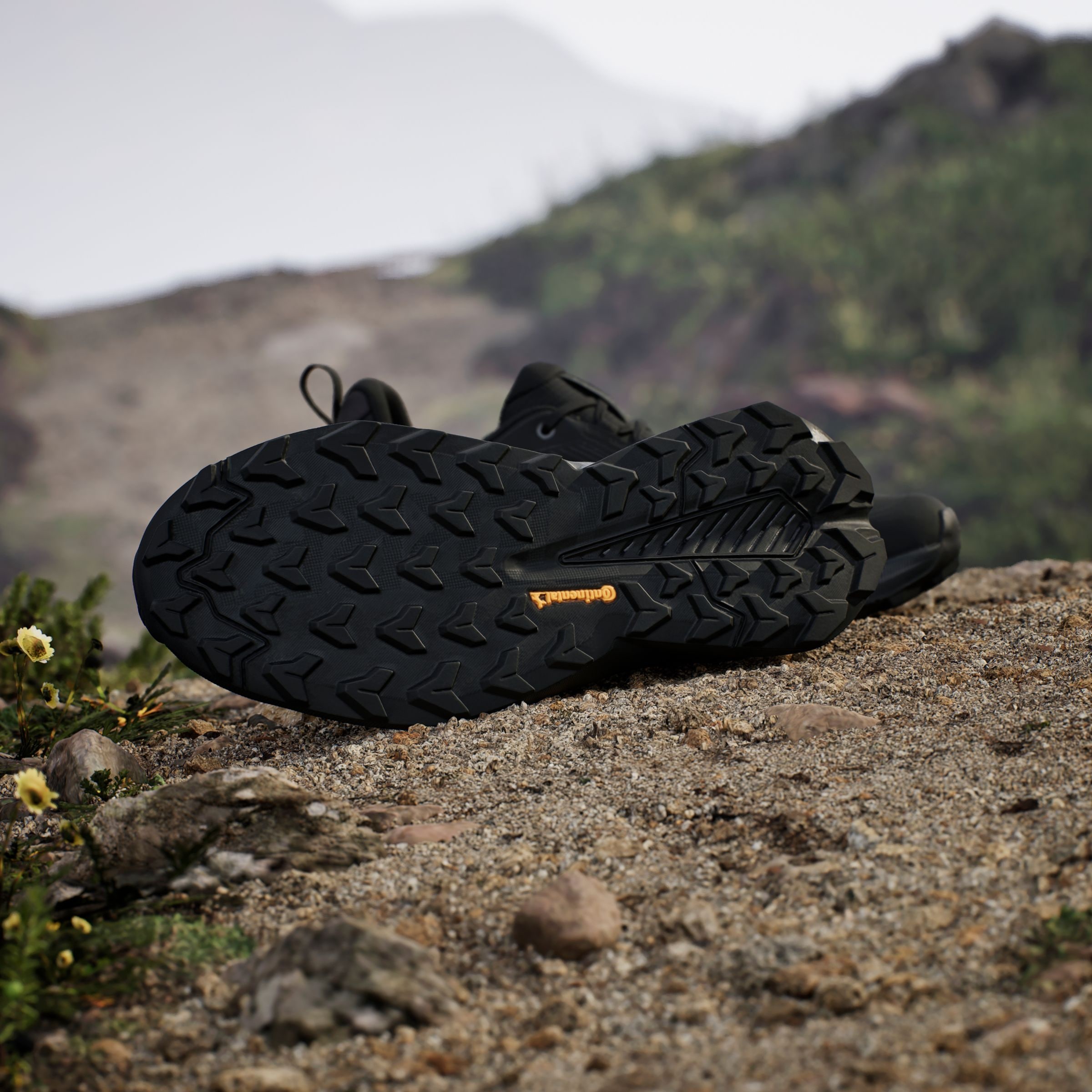 adidas TERREX Wanderschuh »TRAILMAKER 2 GORE-TEX«, wasserdicht