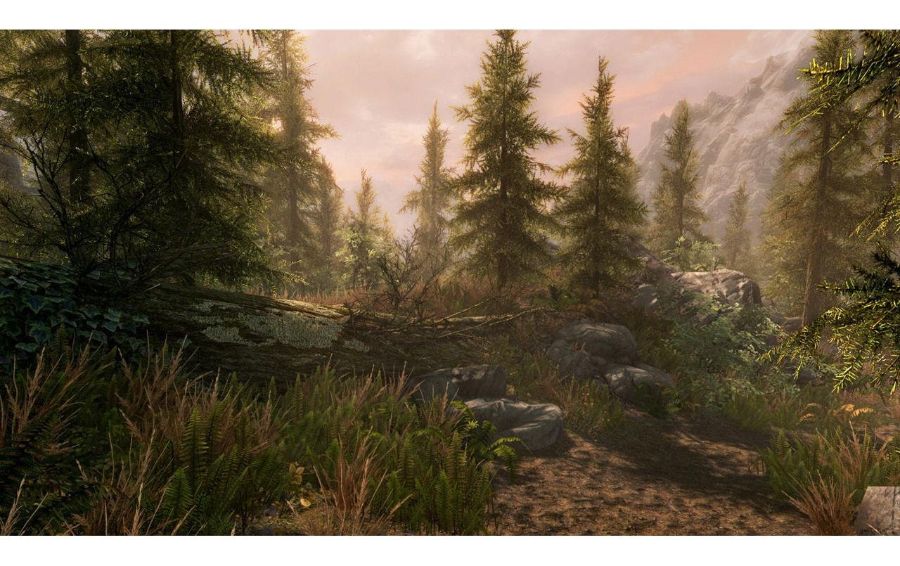 Nintendo Spielesoftware »The Elder Scrolls 5: Skyrim«, Nintendo Switch