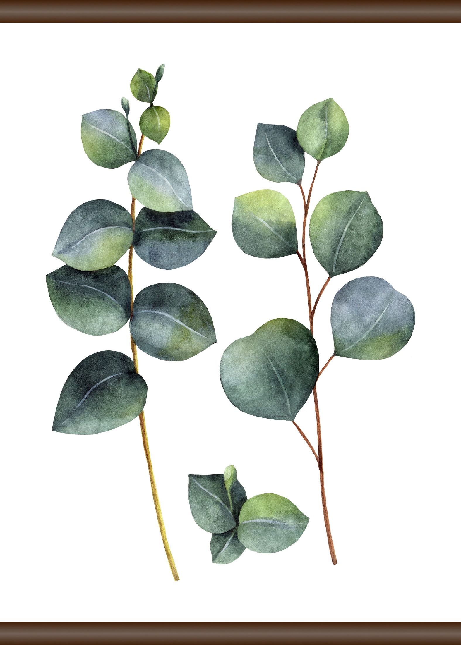Pflanze«, Jelmoli-Online Shop entdecken 50x70 cm im queence Leinwandbild »Eukalyptus