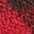 rot/schwarz