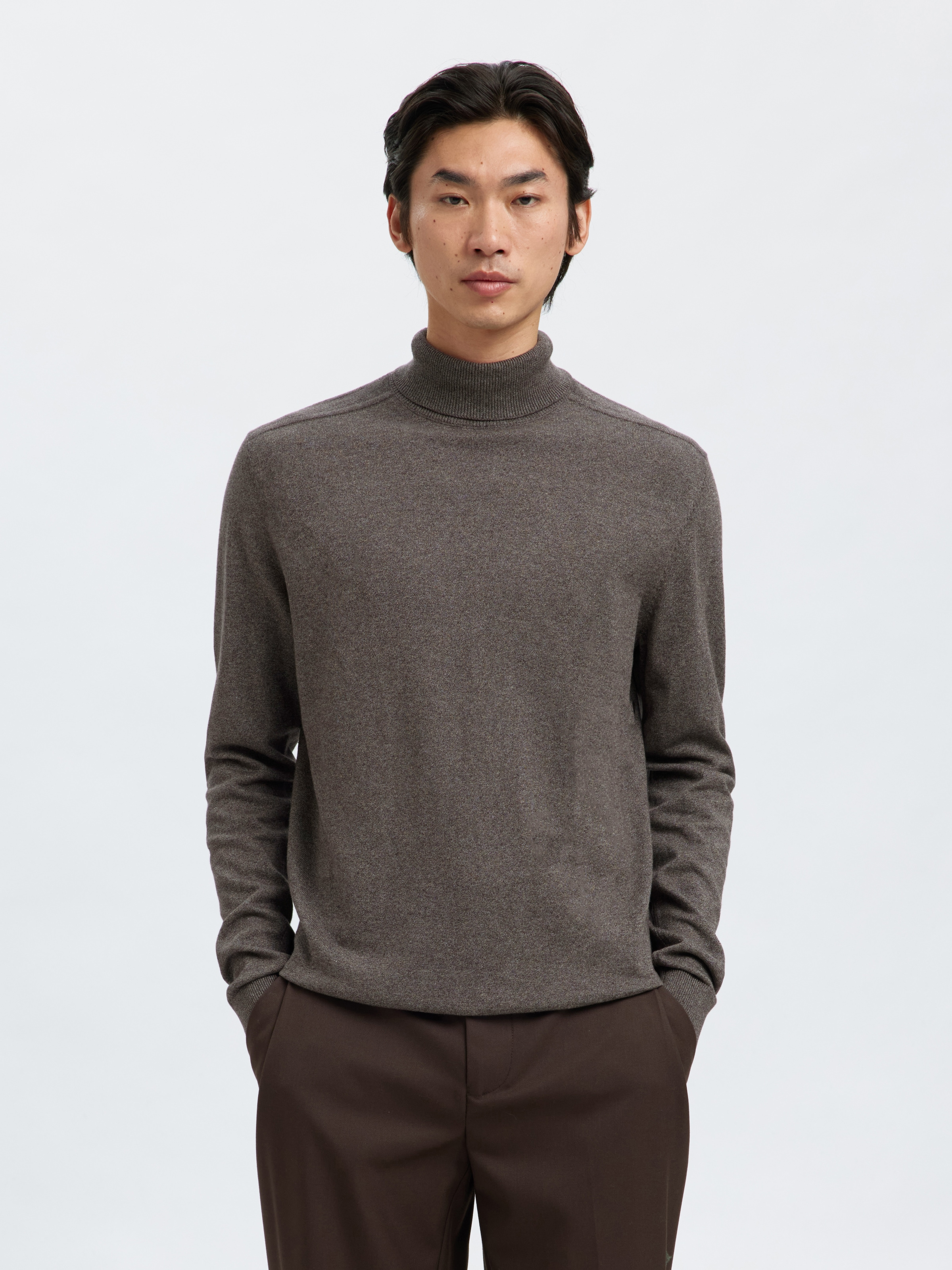SELECTED Rollkragenpullover »SLHBERG ROLL NECK NOOS«