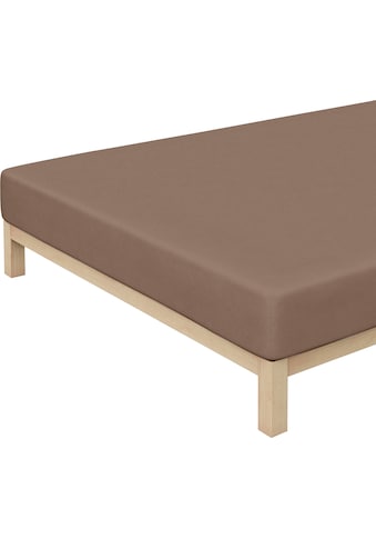 Schlafgut Spannbettlaken »"Flausch-Jersey"«, mit Hochflor-Effekt kaufen Schlafgut Spannbettlaken »"Flausch-Jersey"«, mit Hochflor-Effekt kaufen