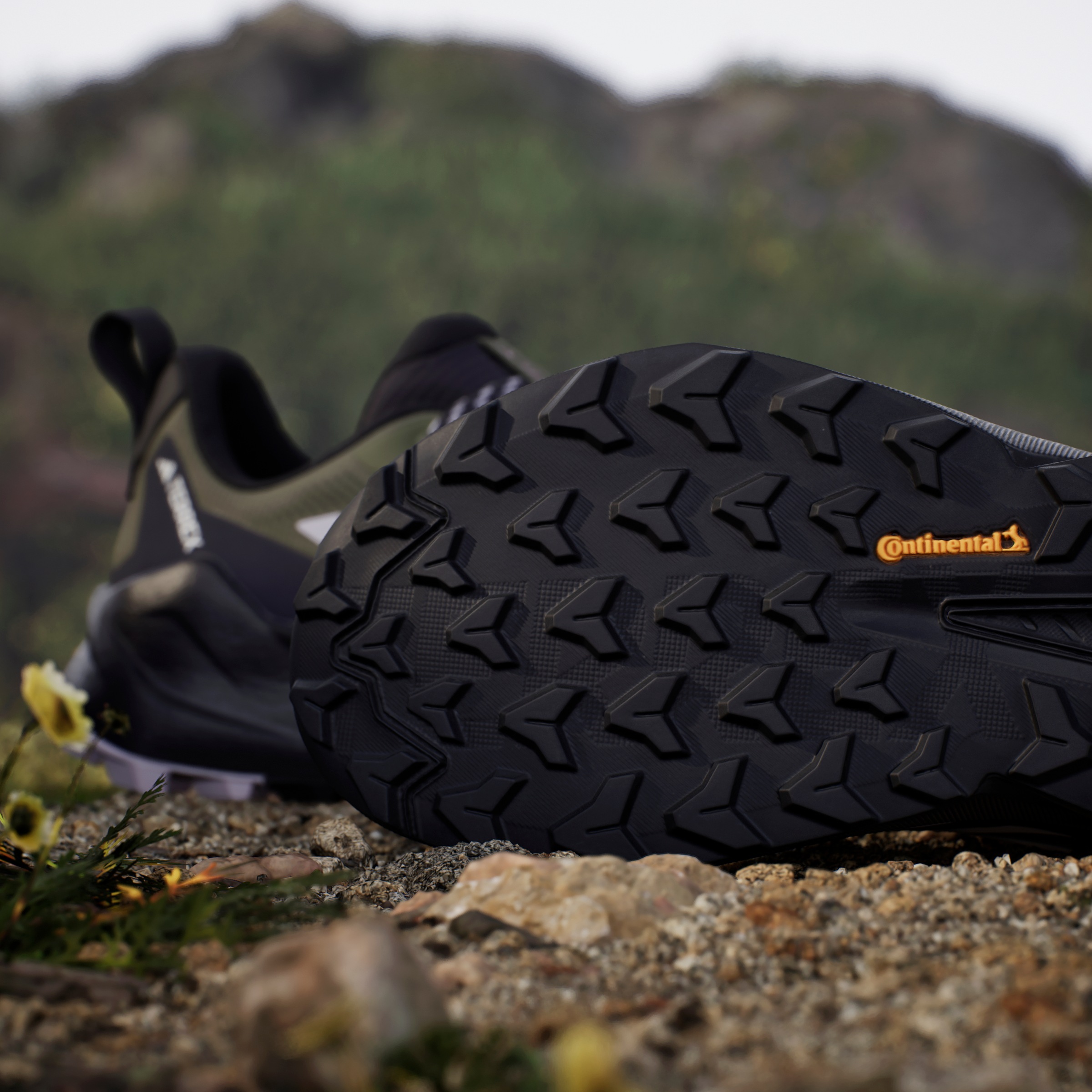 adidas TERREX Wanderschuh »TERREX TRAILMAKER 2.0 GORE-TEX«, wasserdicht