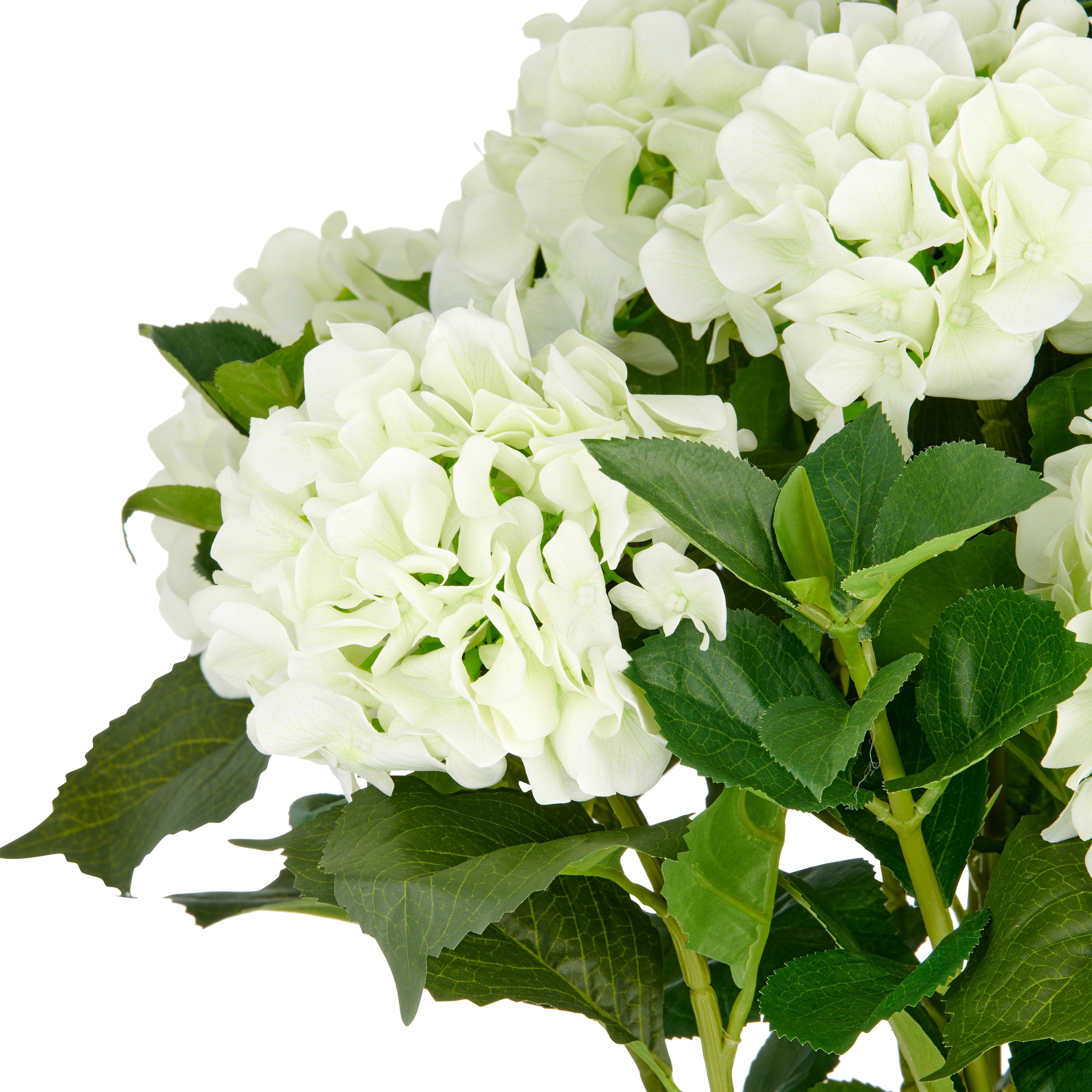 Creativ green Kunstpflanze »Hortensie«, im eleganten Topf