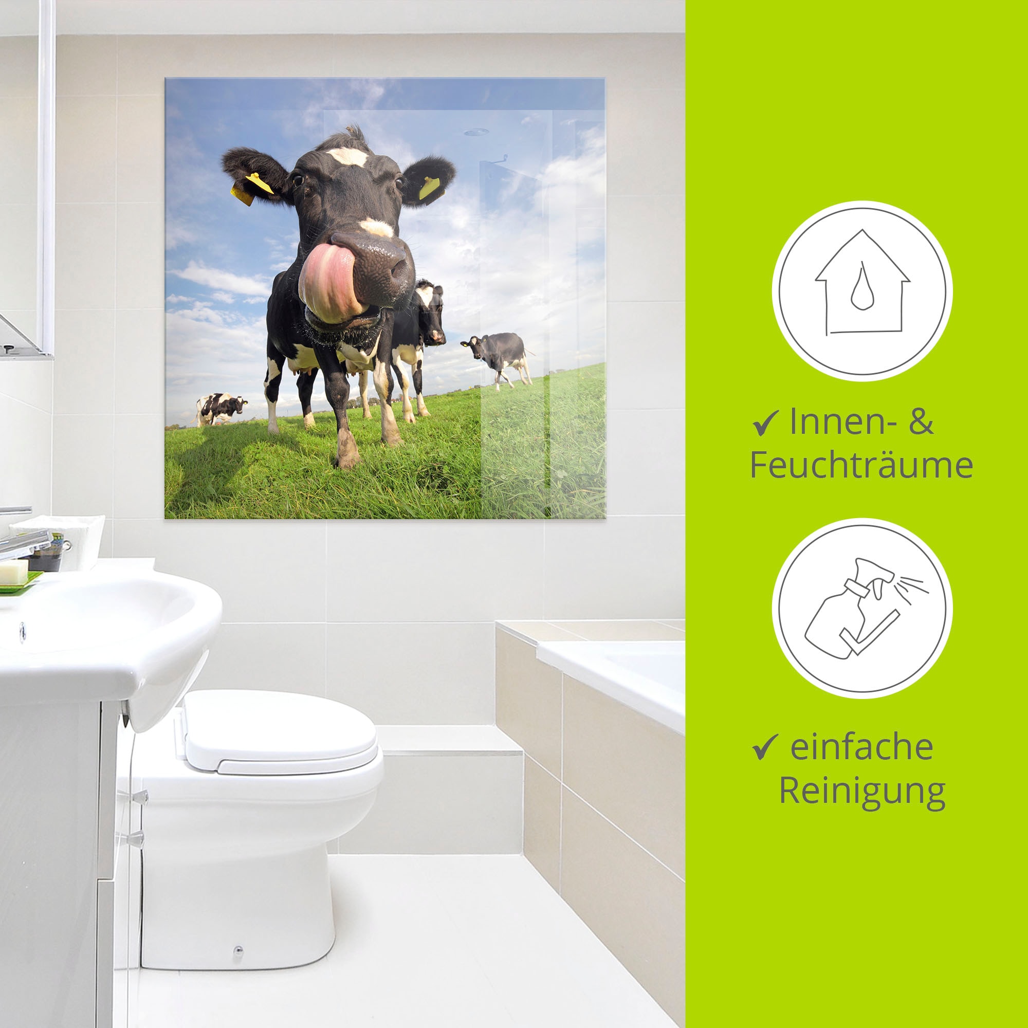 Artland Glasbild »Holstein-Kuh mit gewaltiger Zunge«, Haustiere, (1 St.), in verschiedenen Grössen