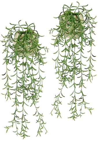 Kunstpflanze »Sprengerie im Topf 2er Set künstlich Pflanze Hängepflanze Kunstblume«