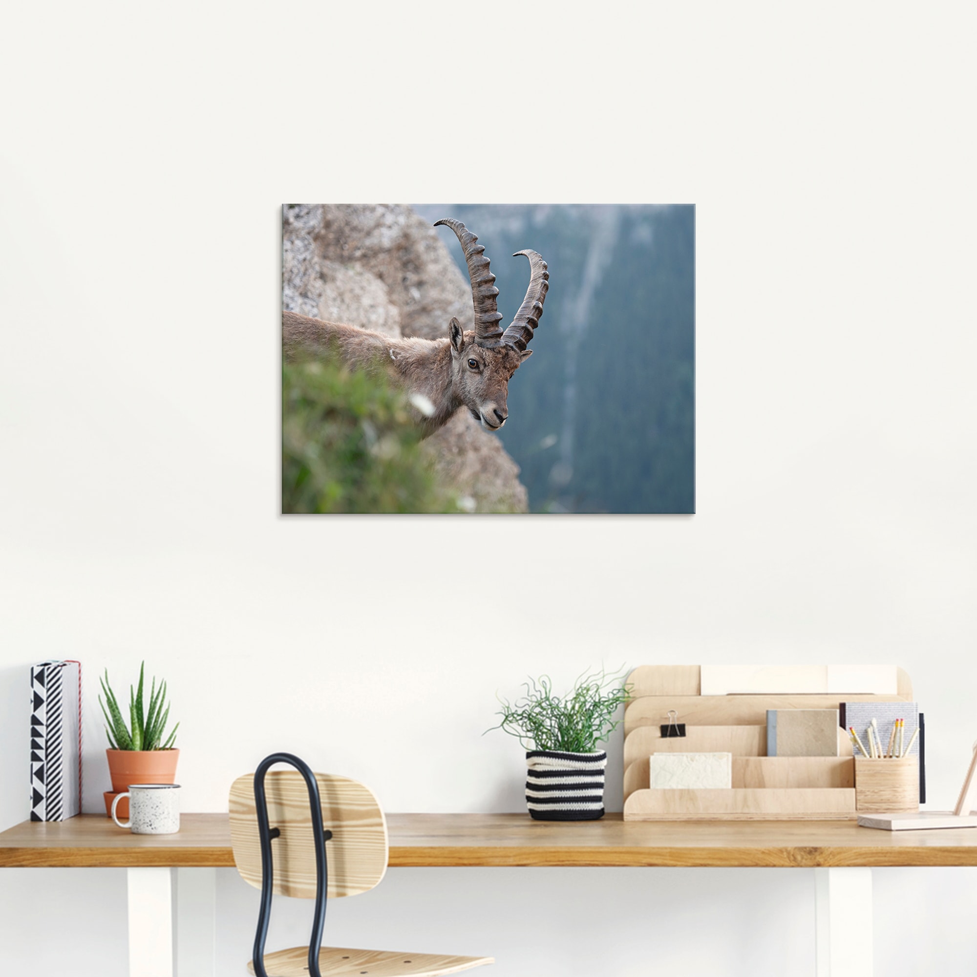 Artland Glasbild »Steinbock«, Wildtiere, (1 St.), in verschiedenen Grössen