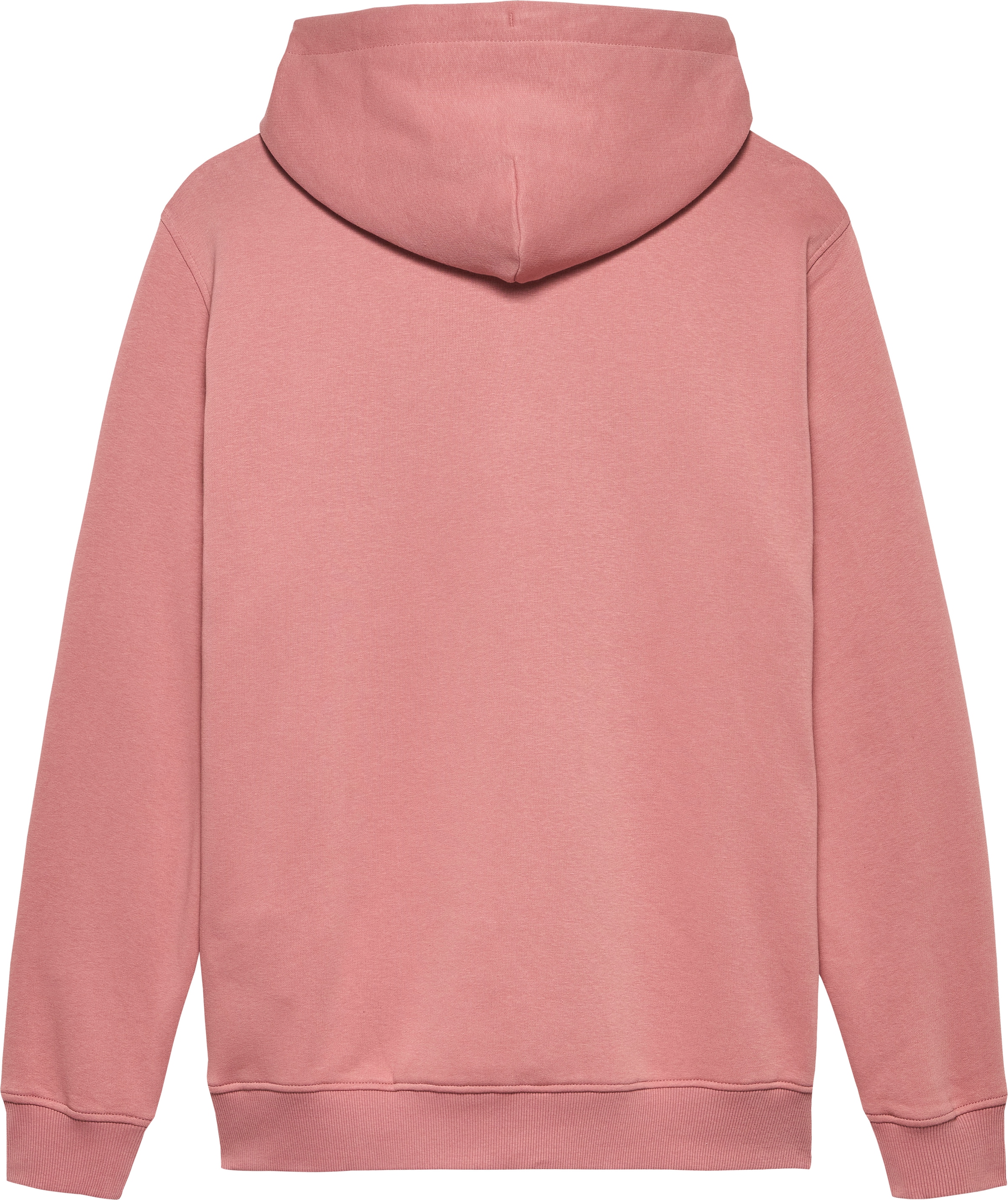 Tommy Jeans Hoodie »TJM REG LINEAR LOGO HOODIE EXT«, mit Logo-Stickerei