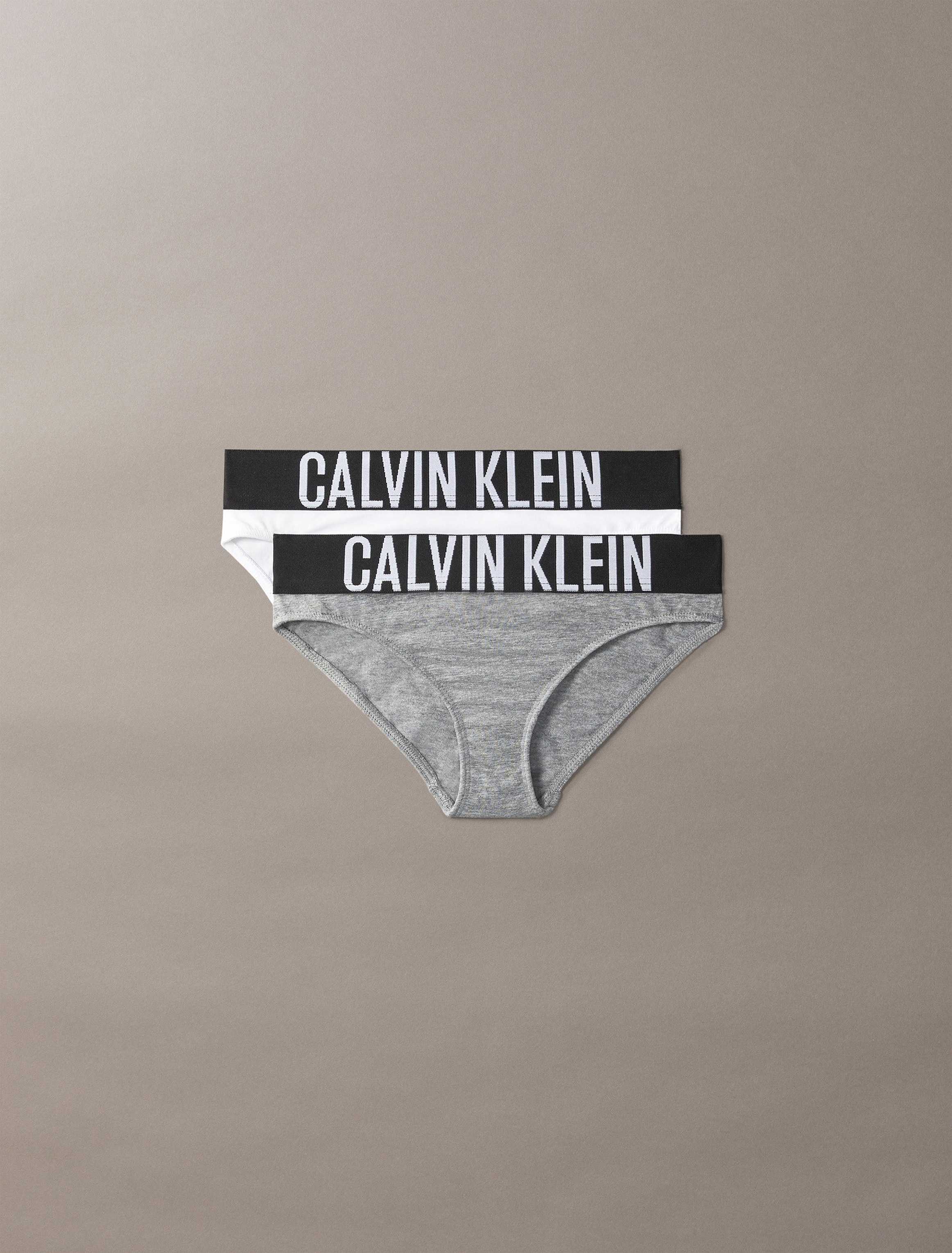 Calvin Klein Underwear Brasilslip »2PK BIKINI«, (Packung, 2 St., 2er-Pack), mit Logobund