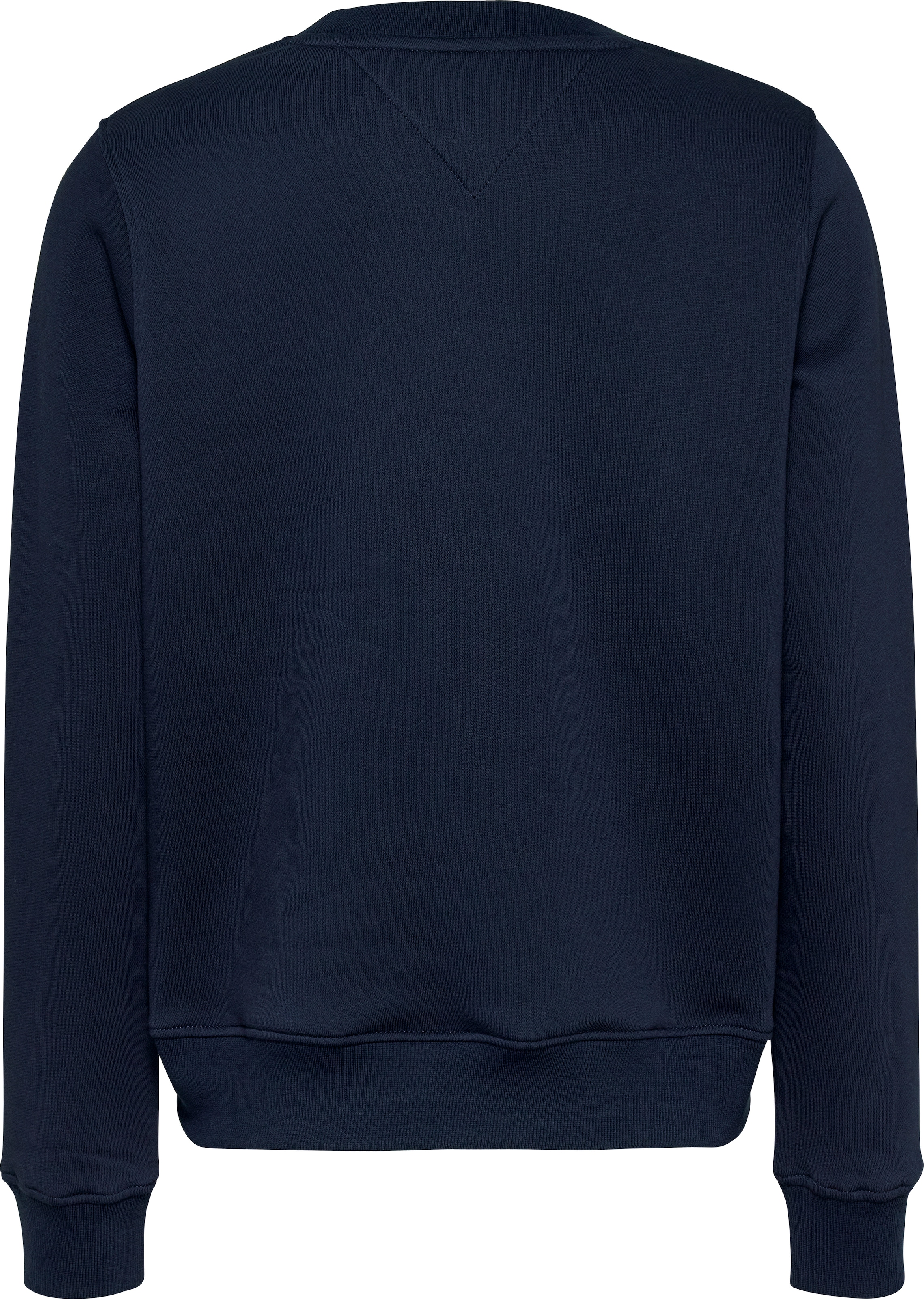 Tommy Jeans Curve Sweatshirt »TJW REG LINEAR CREW EXT«, in Grossen Grössen mit Logoschriftzug