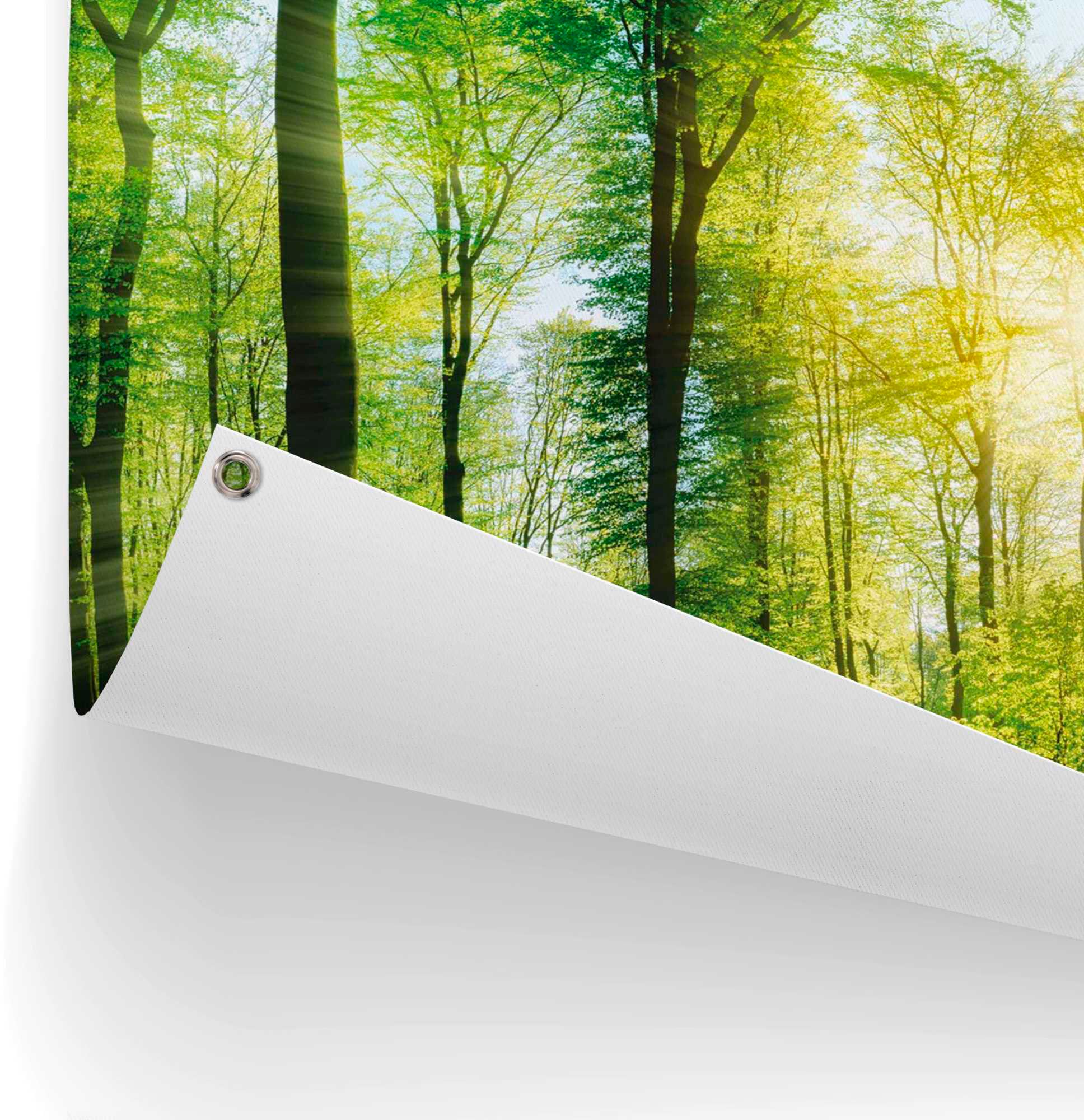 Reinders! Poster »Sommerwald«