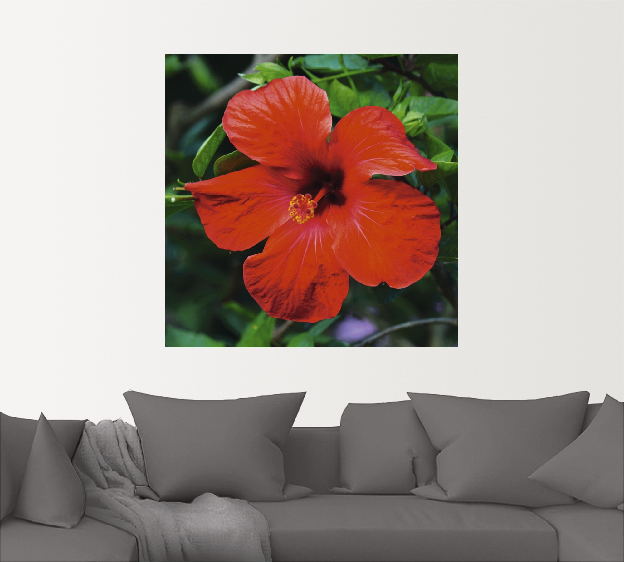 Artland Wandbild »Hawaiiblume«, Blumen, (1 St.), als Alubild, Leinwandbild, Wandaufkleber oder Poster in versch. Grössen