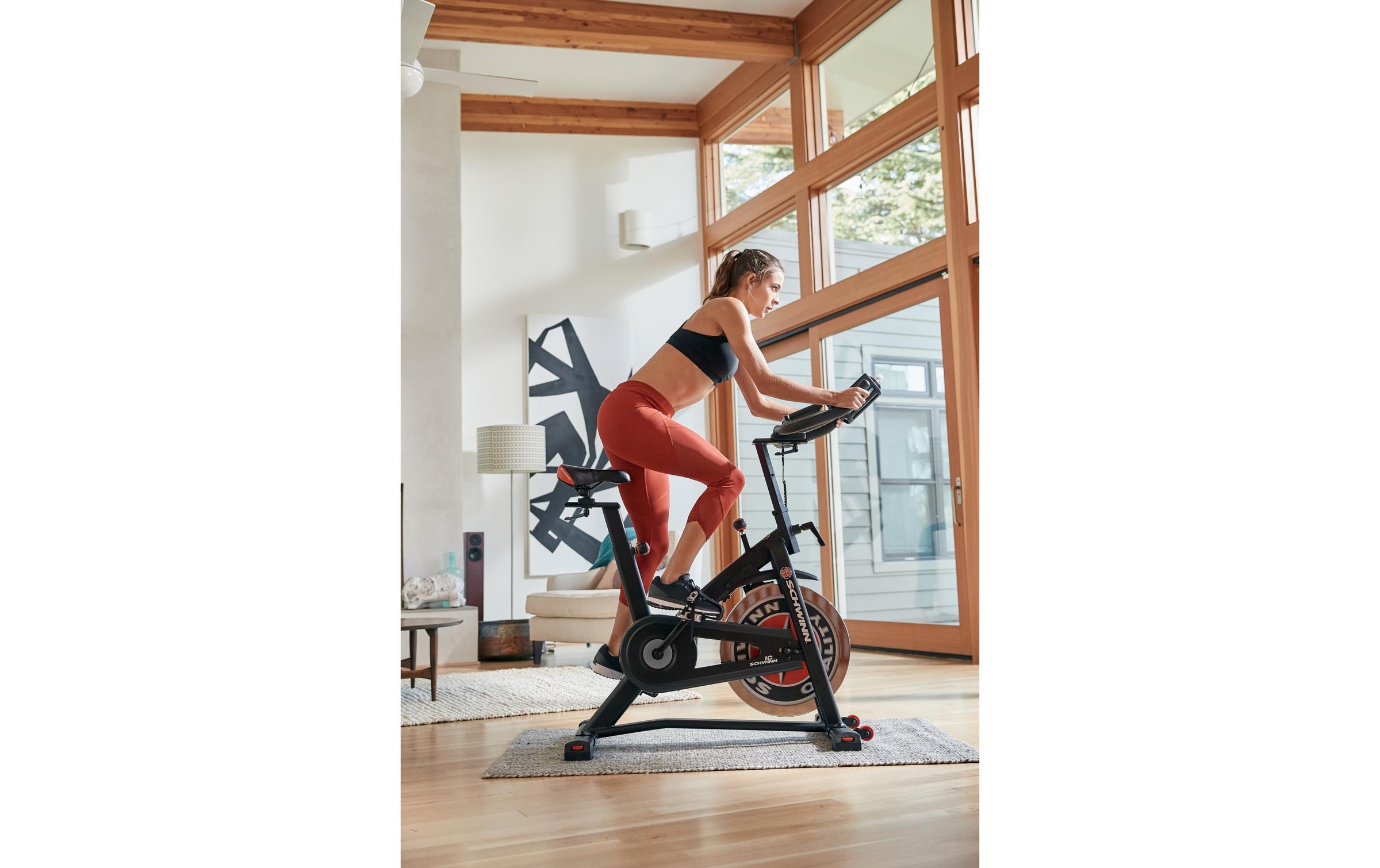 Heimtrainer »IC7«