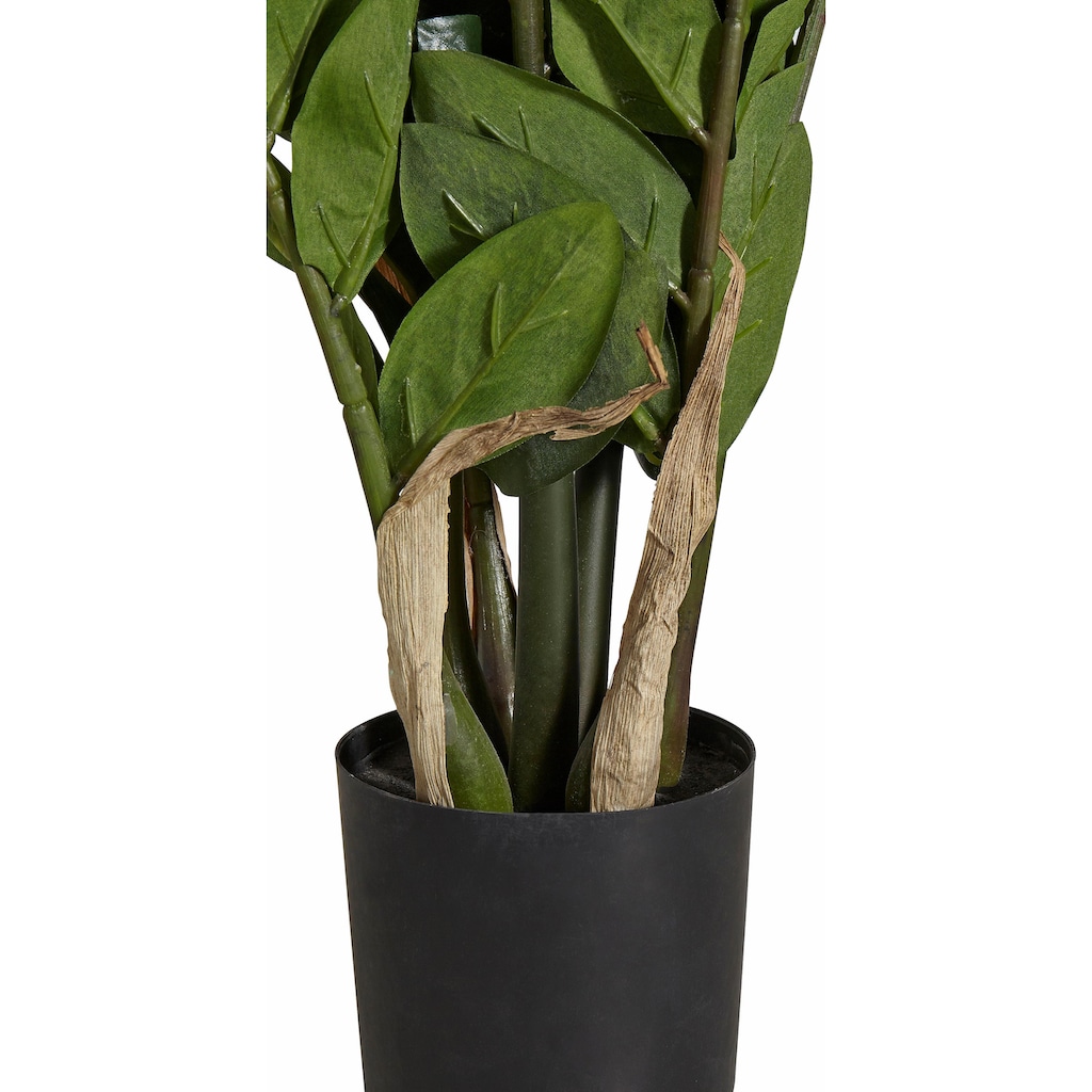 Creativ green Kunstpflanze »Zamifolia«