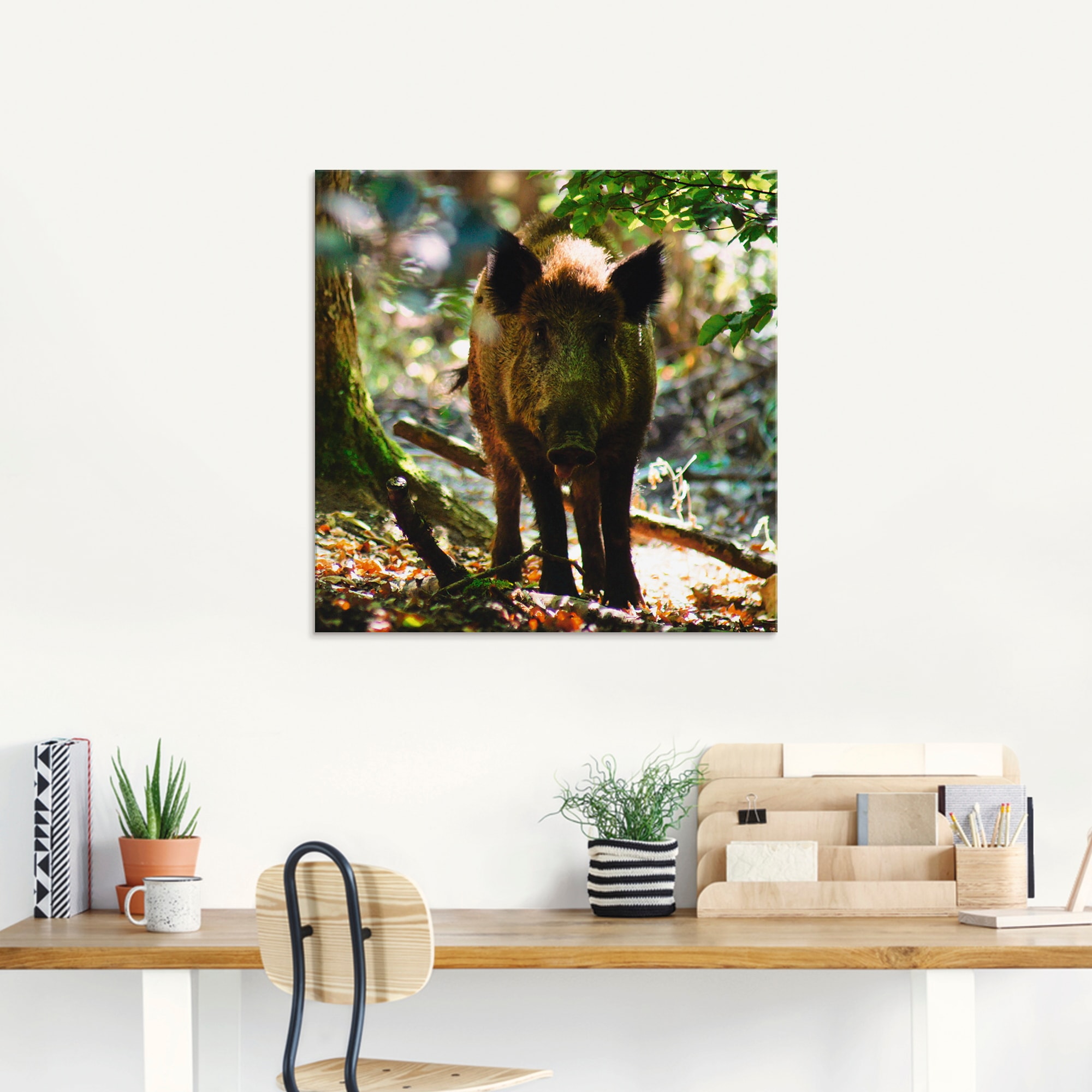 Artland Glasbild »Wildschwein«, Wildtiere, (1 St.), in verschiedenen Grössen