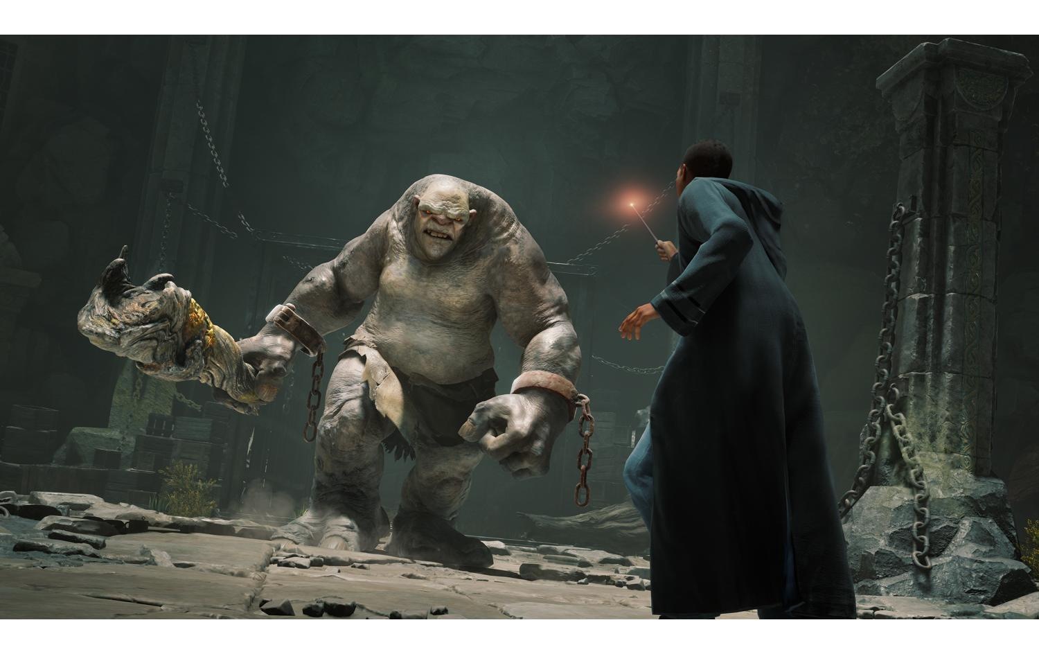 Spielesoftware »Warner Bros. Hogwarts Legacy«