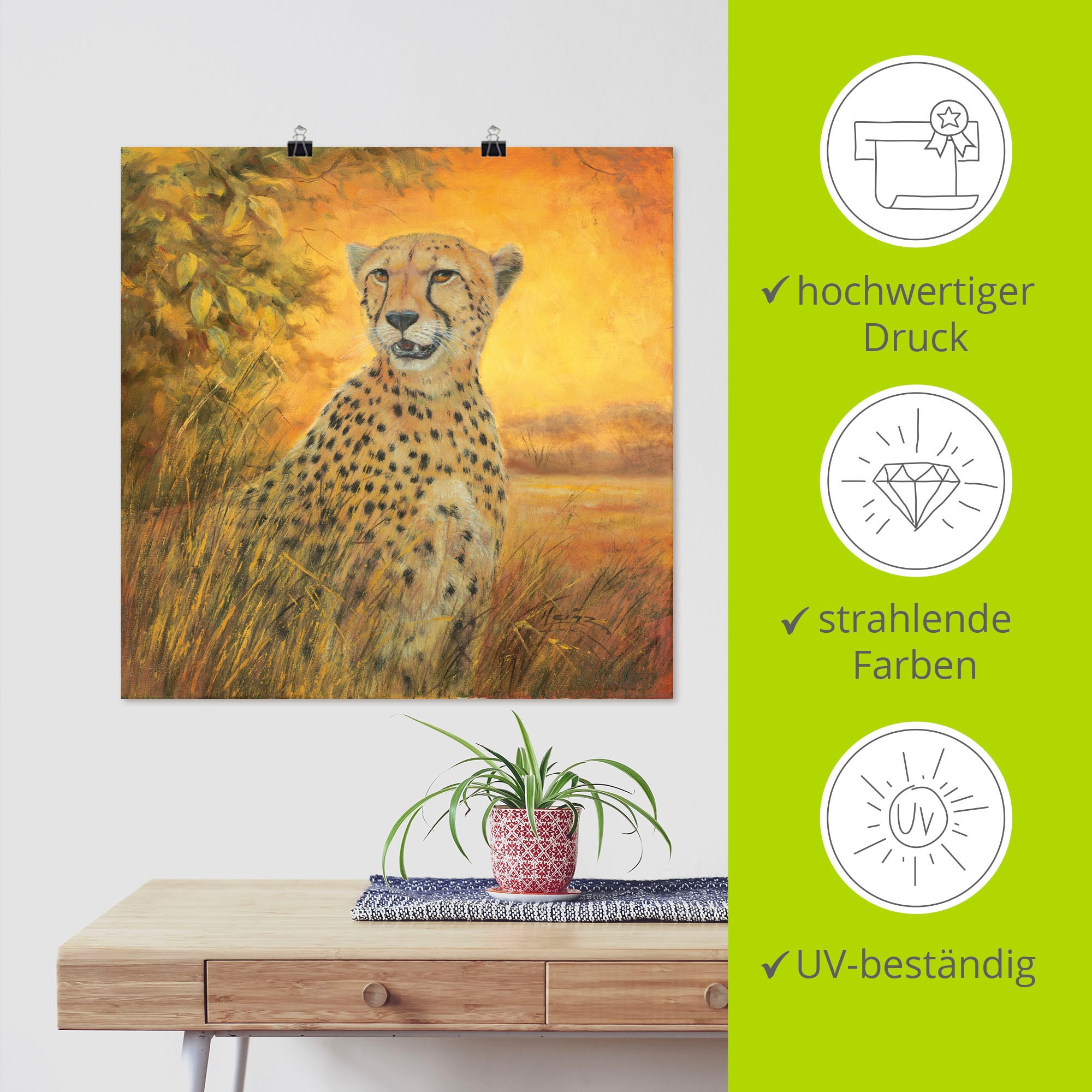 Artland Wandbild »Porträt Gepard«, Geparden Bilder, (1 St.), als Alubild,  Leinwandbild, Wandaufkleber oder Poster in versch. Grössen online shoppen |  Jelmoli-Versand