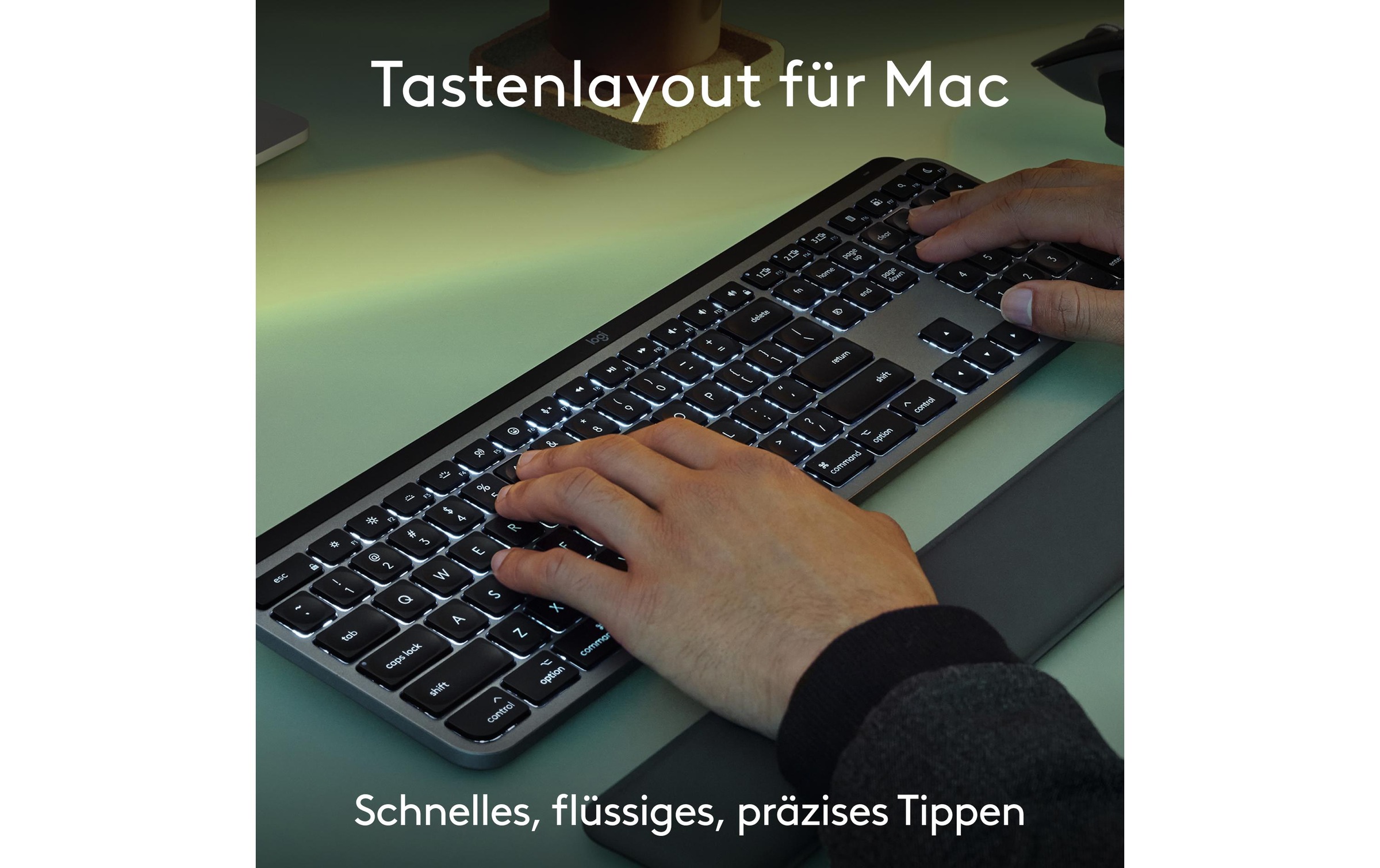 Logitech Tastatur- und Maus-Set »MX Keys S Combo for Mac«