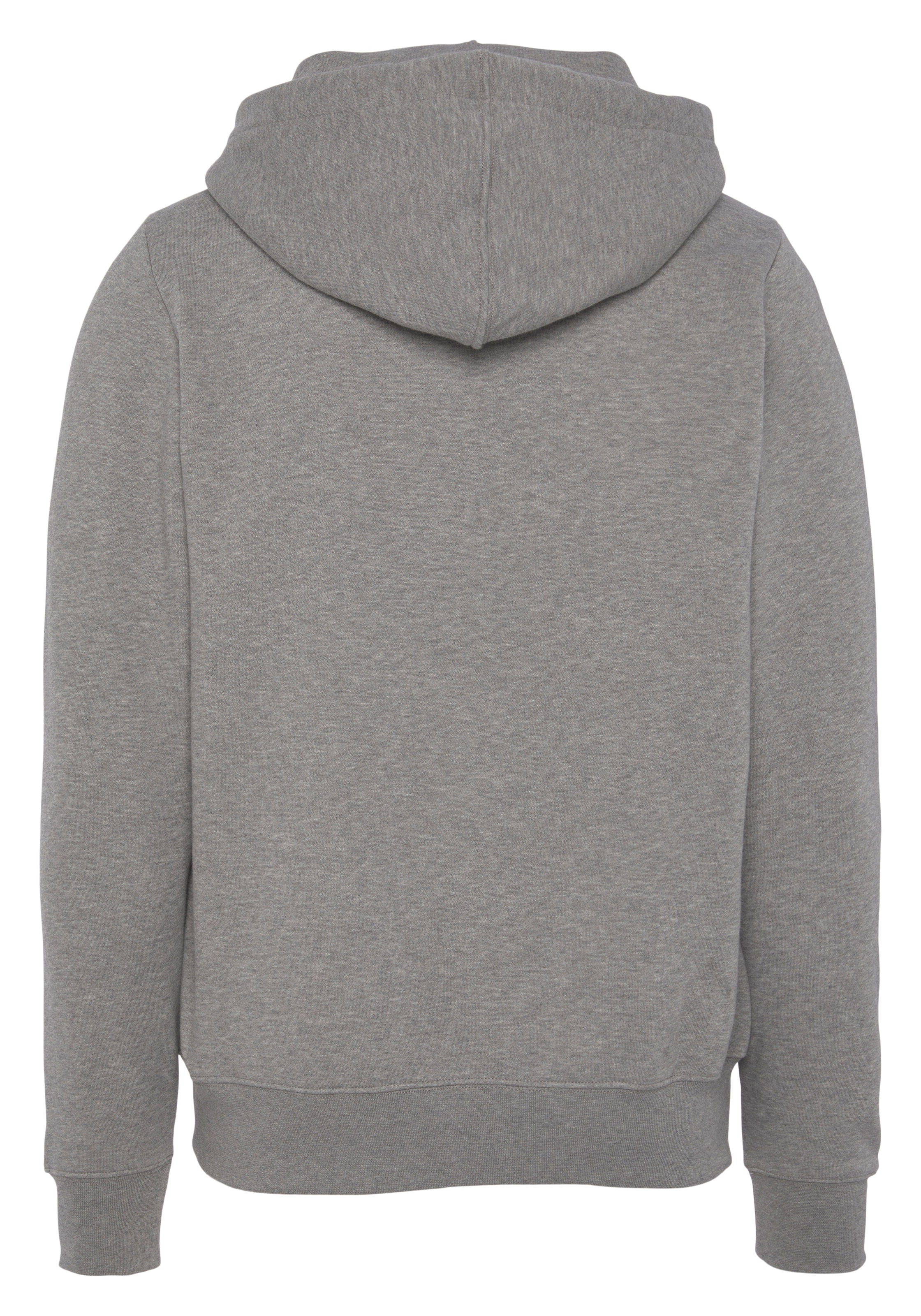Tommy Hilfiger Hoodie »NEW YORK FLAG HOODY«
