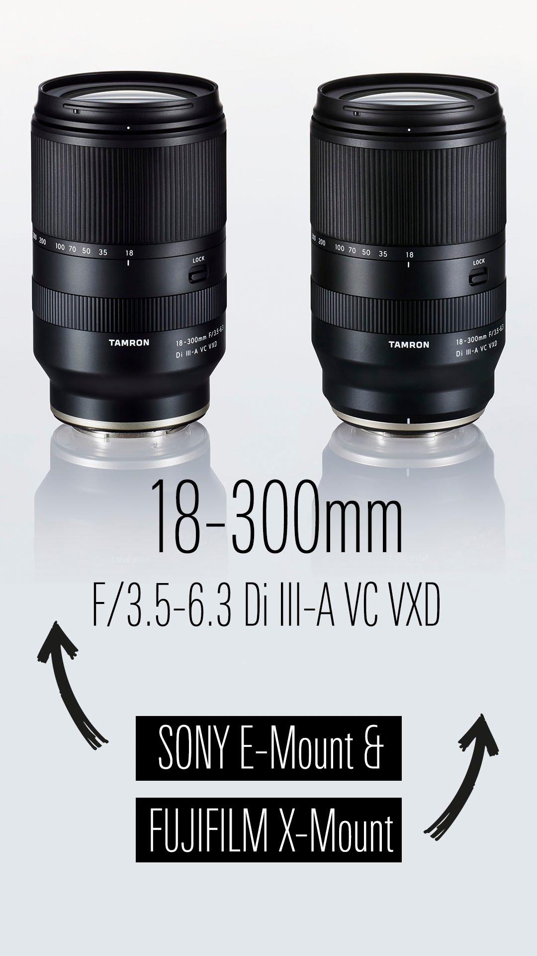 Tamron Objektiv »AF 18-300mm F/3.5-6.3 Di III-A VC VXD für Sony E-Mount APS-C«