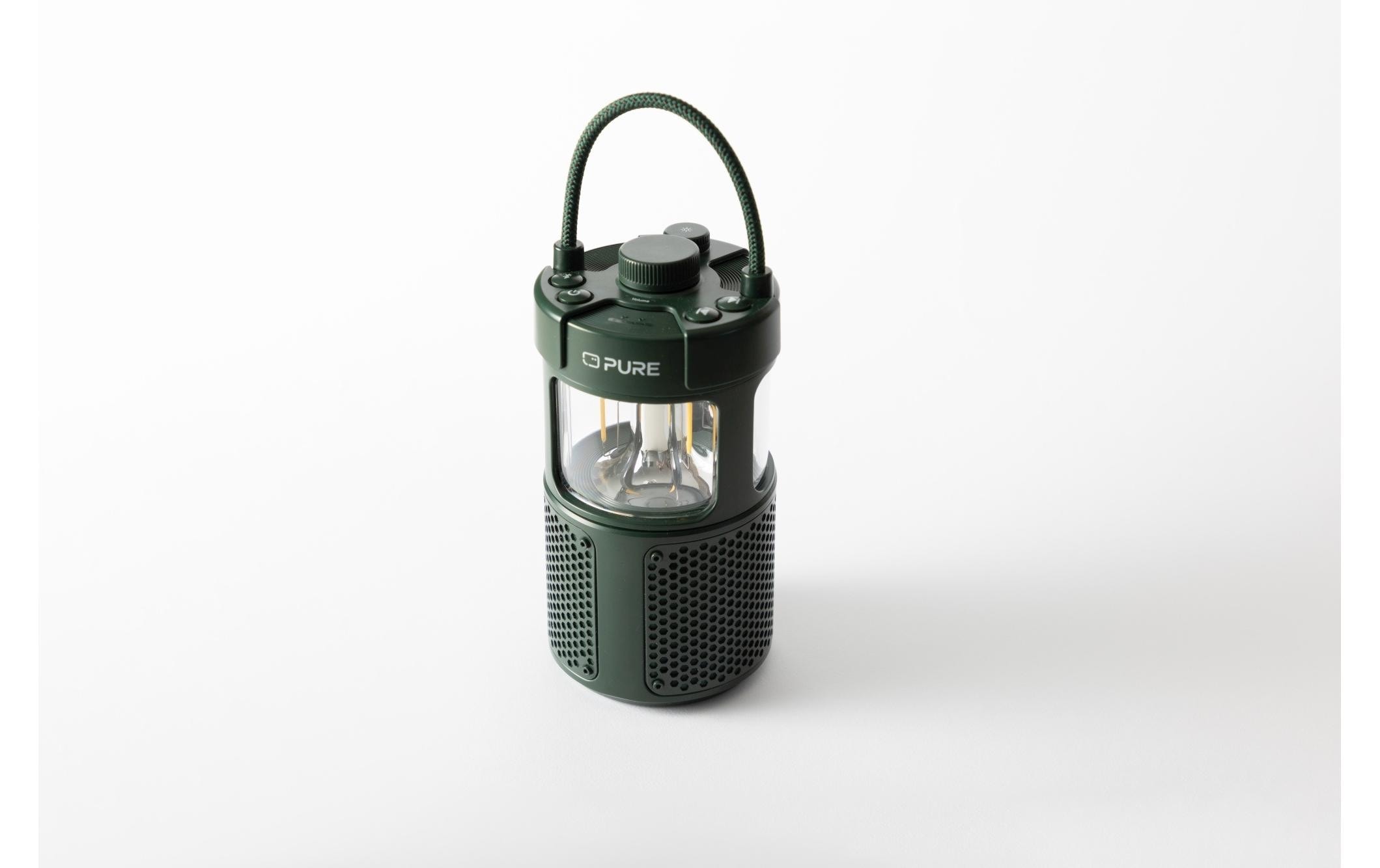 Pure Radio »Woodland Glow«, (Bluetooth)