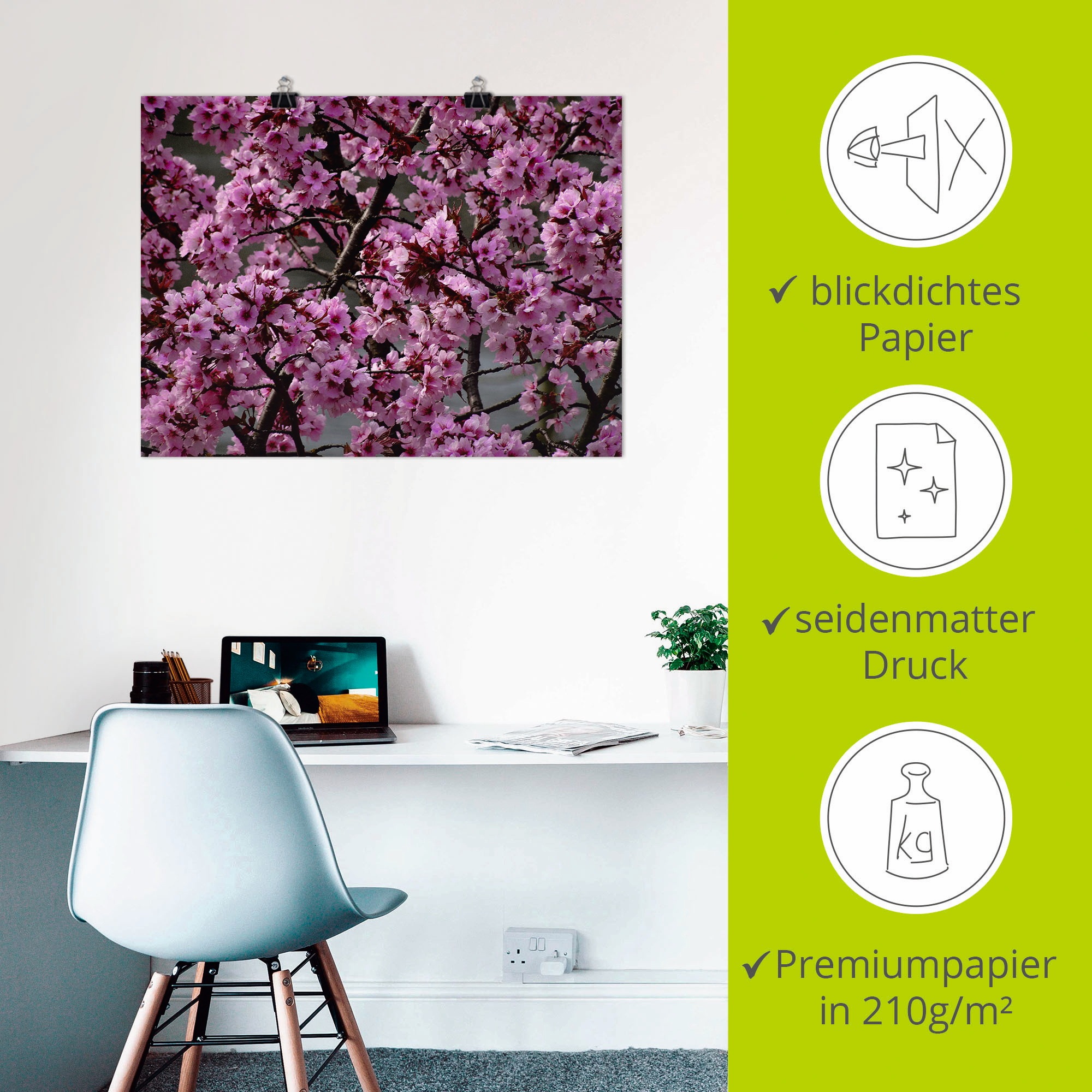Artland Wandbild »Japanische Zierkirschen Blüte«, Bäume, (1 St.), als Leinwandbild, Poster in verschied. Grössen