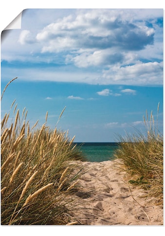 Artland Wandbild »Strandzugang an der Ostsee - Dänemark 9«, Strand, (1 St.), als... kaufen