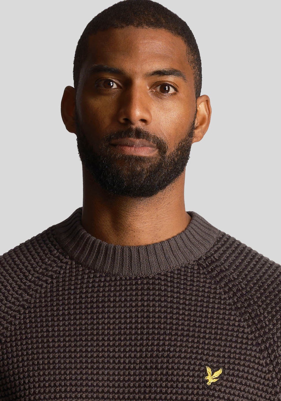 Lyle & Scott Strickpullover, mit Logostickerei
