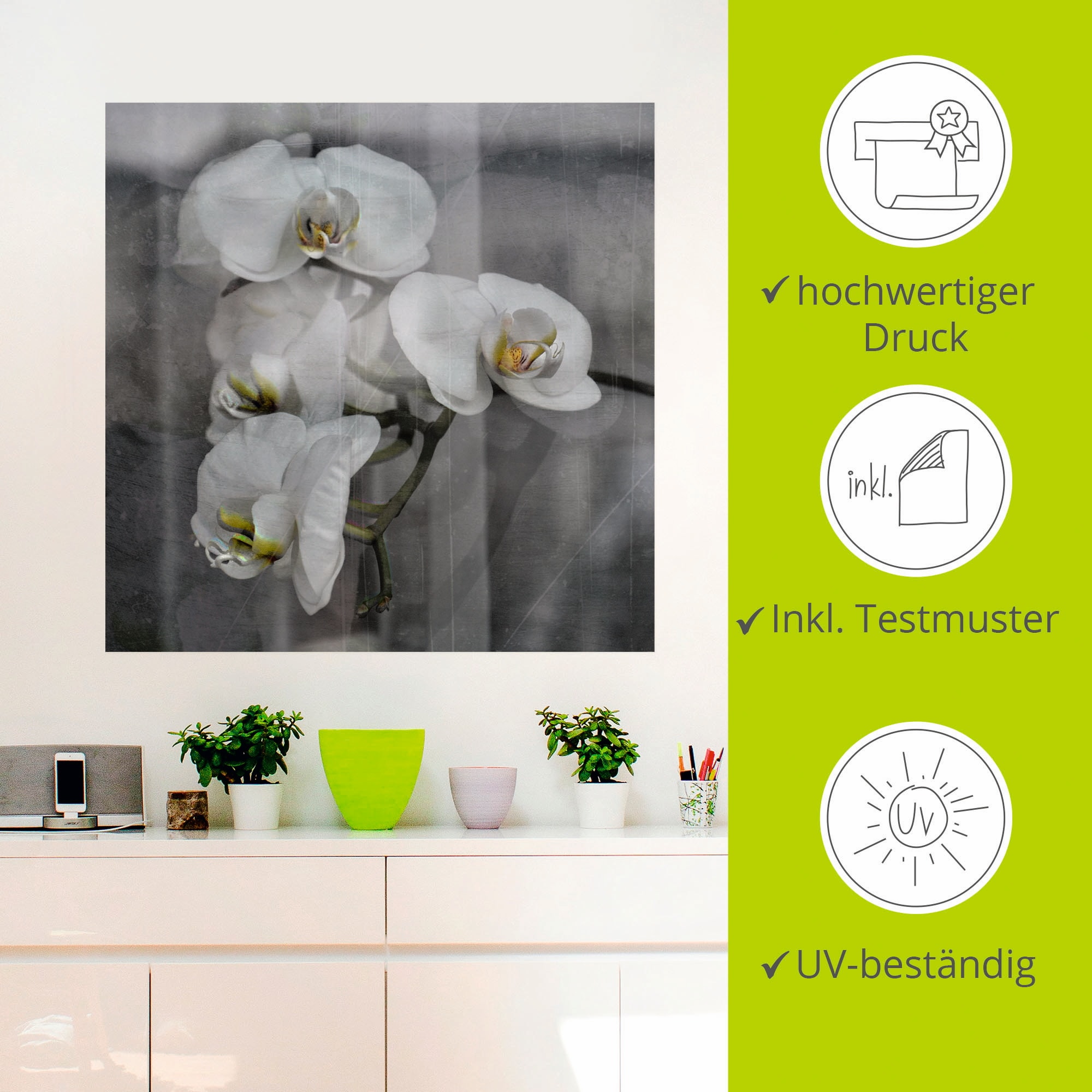 Artland Wandbild »Weisse Orchideen - white Orchid«, Blumen, (1 St.), als Leinwandbild, Wandaufkleber in verschied. Grössen