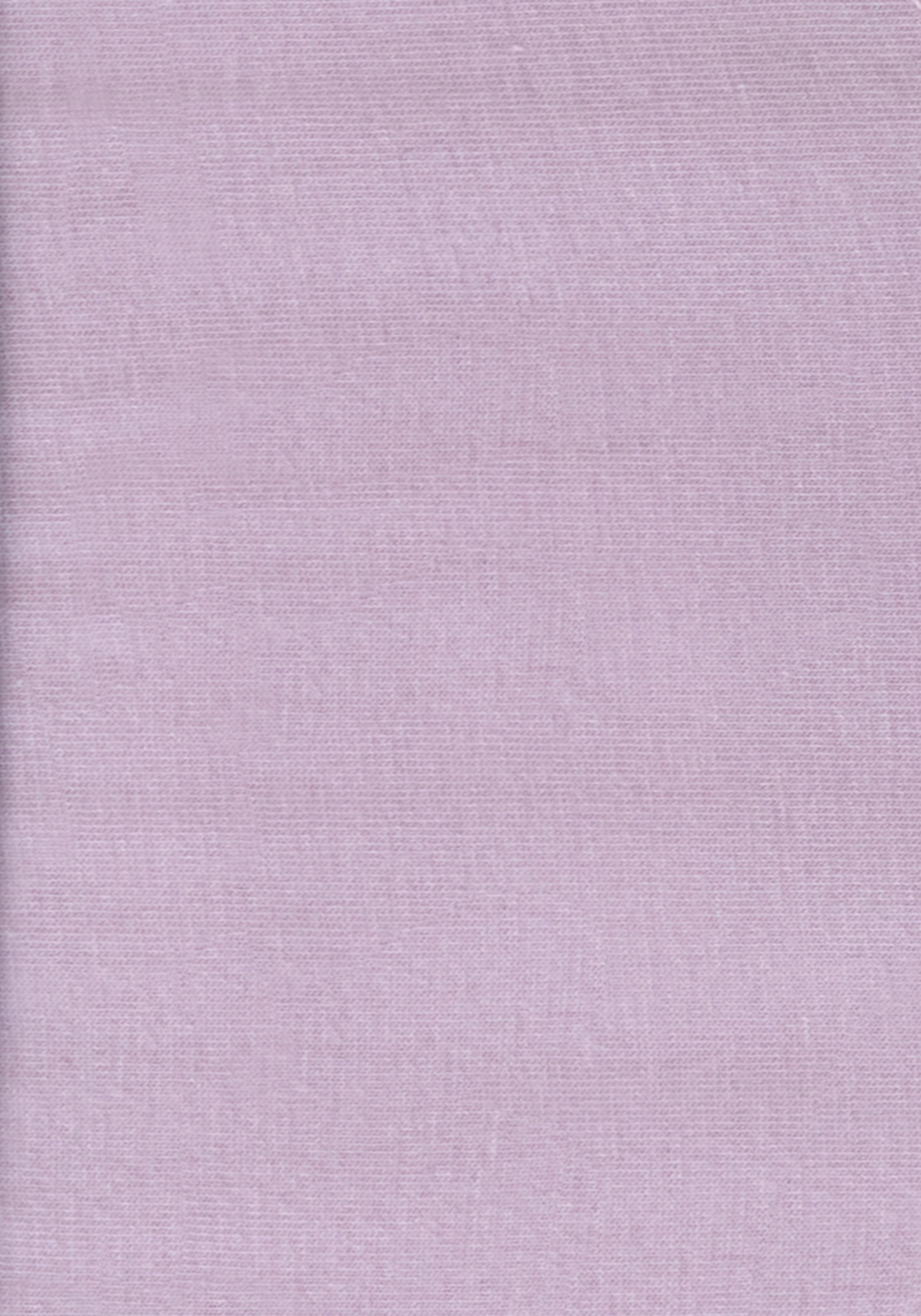 Bench. Panty, (Packung, 3 St.), mit kontrastfarbigem Webbund |  Jelmoli-Versand Online Shop