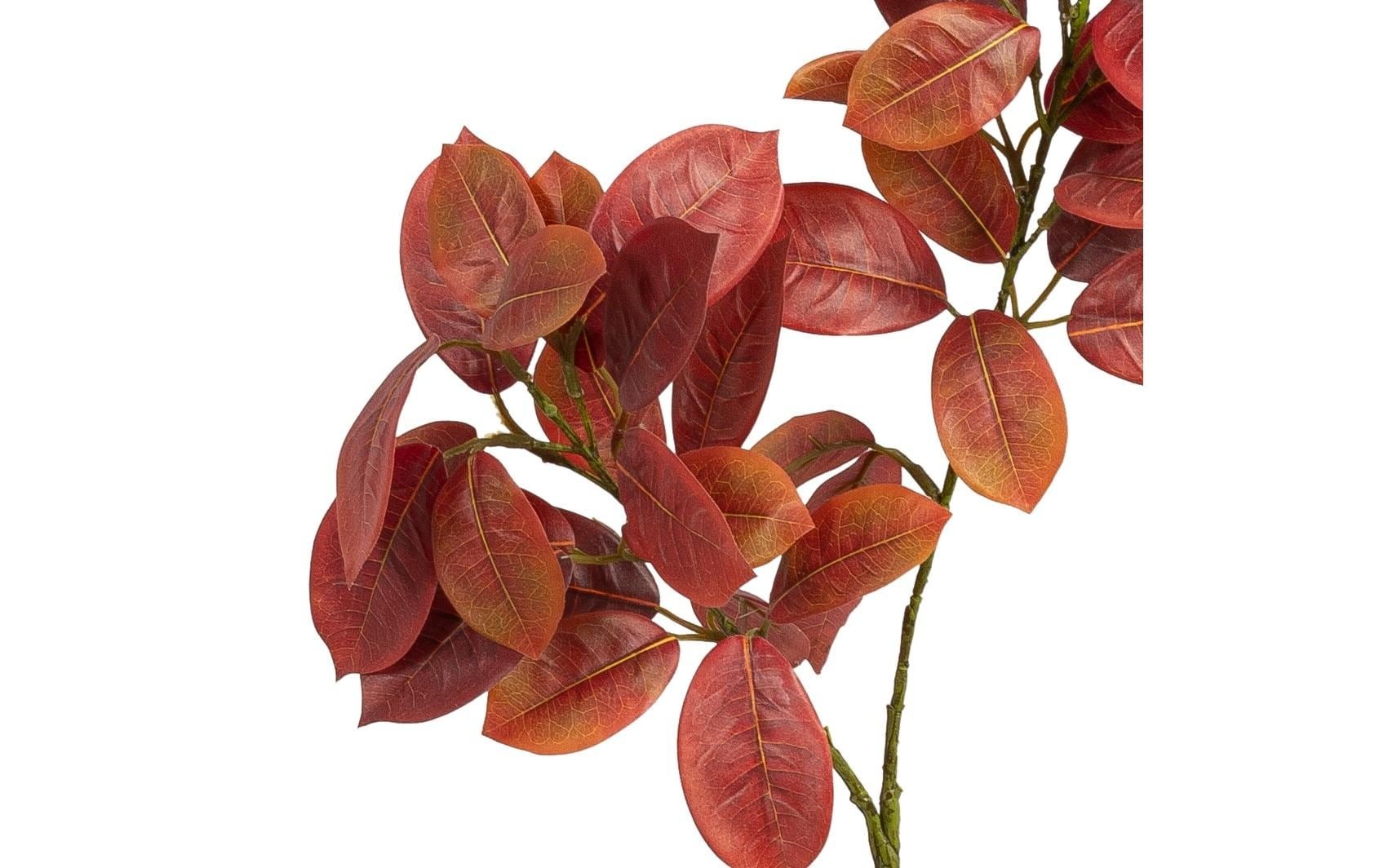 »3-er Jelmoli-Versand Kunstblume 75 cm« online Set | bestellen Botanic-Haus