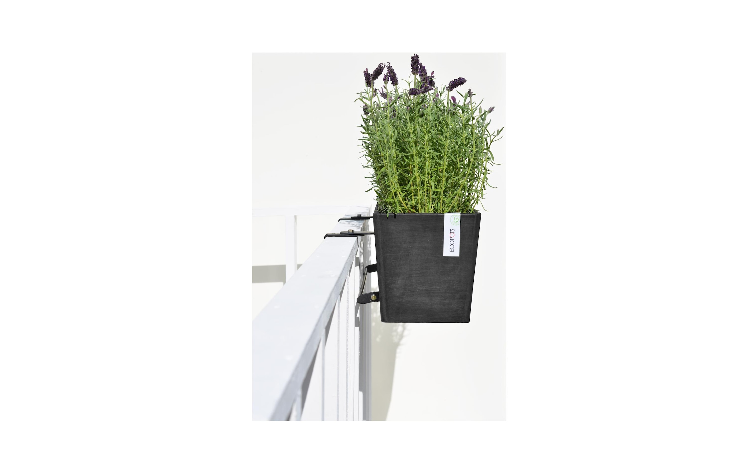 Mit online Jelmoli-Versand Halterungen Aufhängesystem, »Hanging integrierte Bruges«, bestellen ECOPOTS Blumentopf |