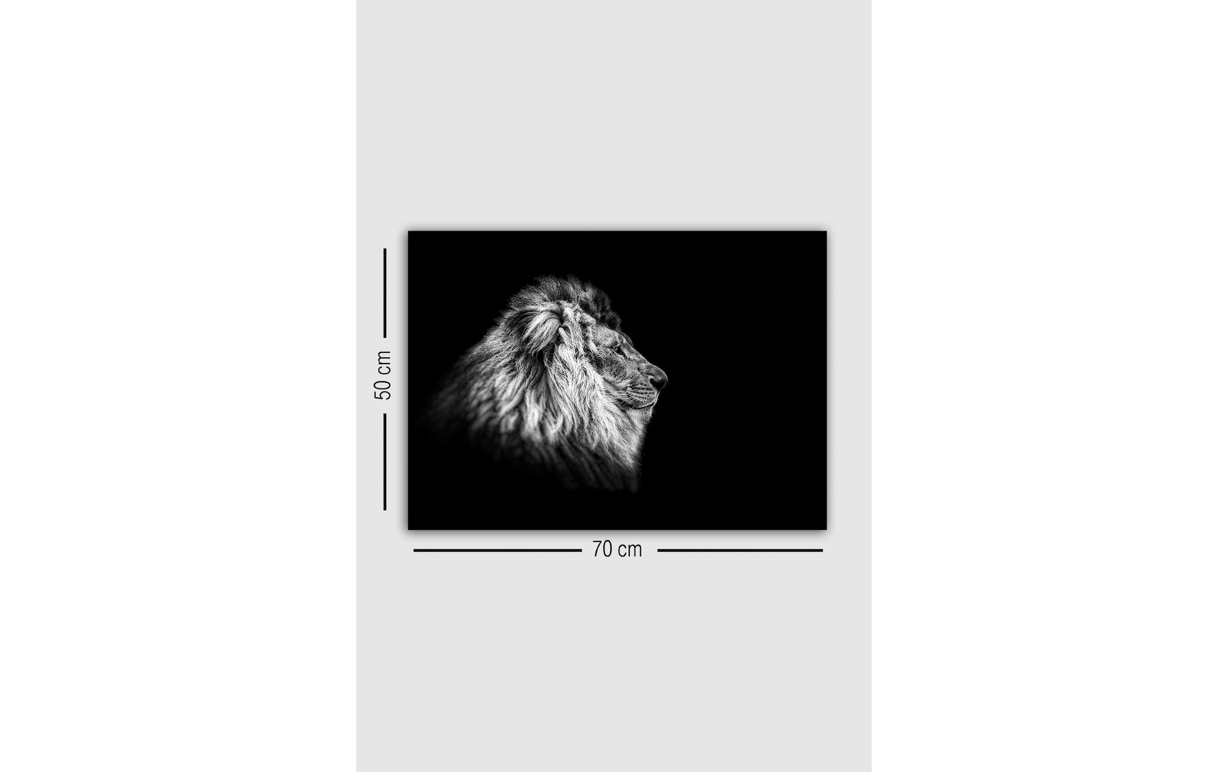 Wandbild »Wallxpert Löwe«, Löwe