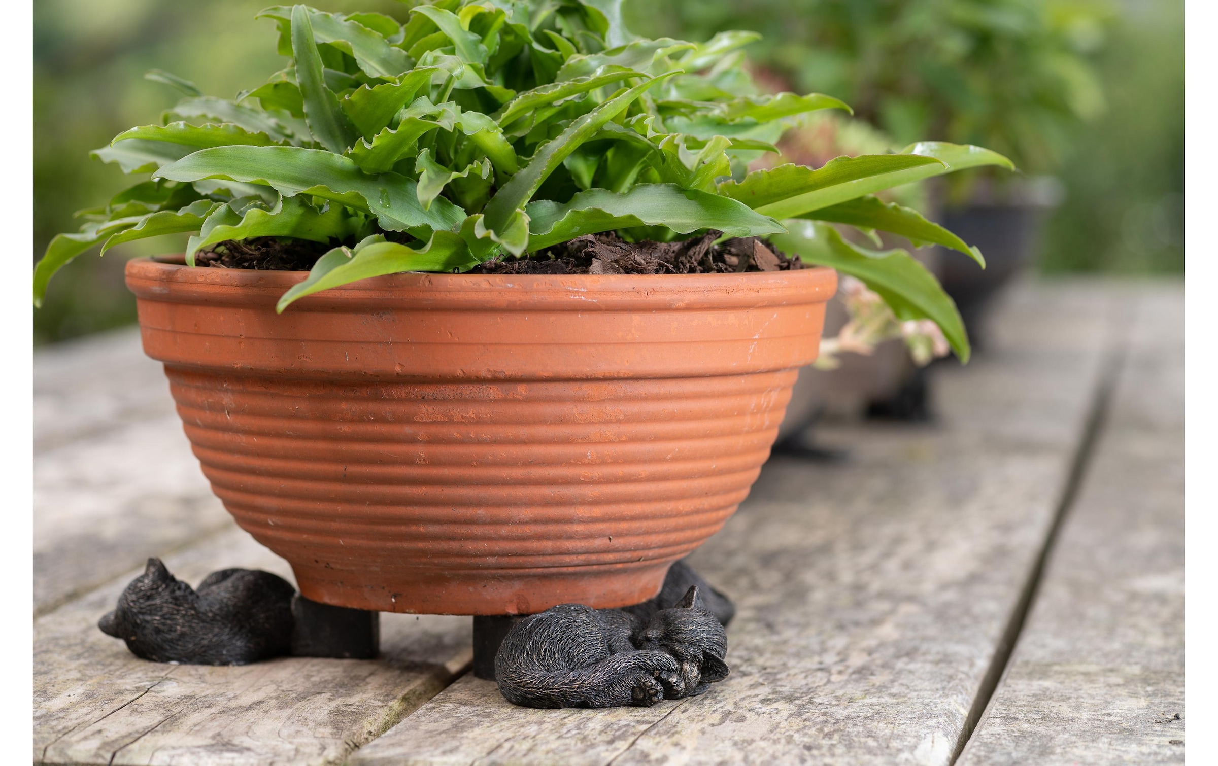 Blumenständer »Potty Feet Schlafende Katze«