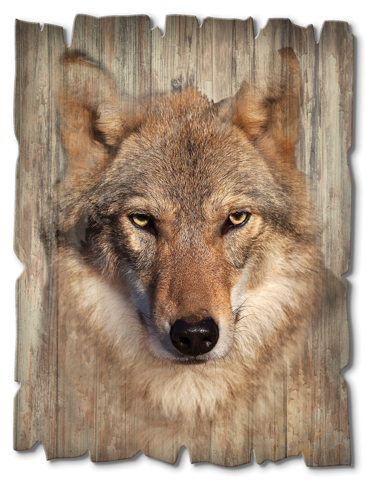 Jelmoli-Versand Wildtiere, Holzbild | St.) (1 »Wolf«, online shoppen Artland